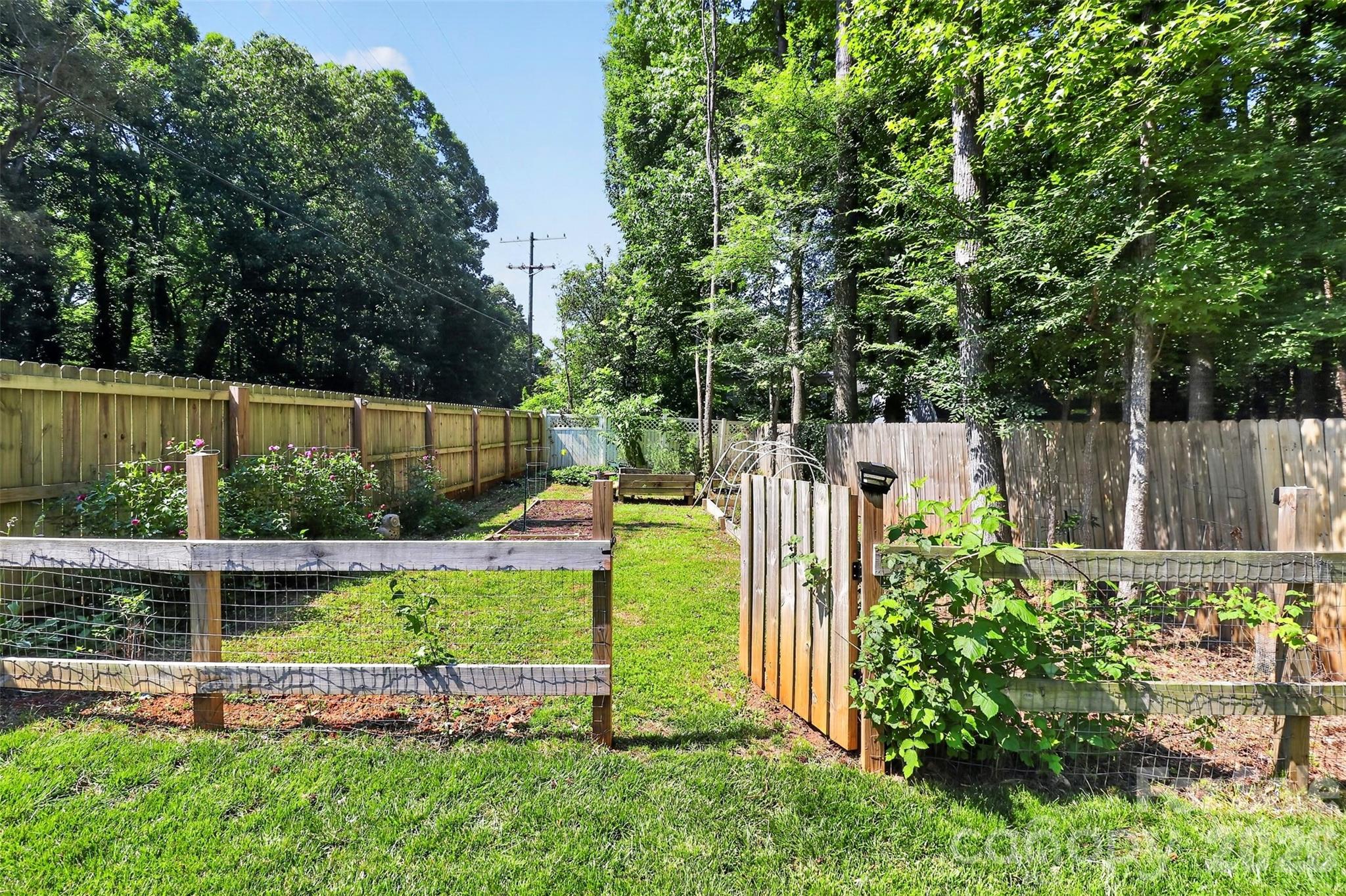 11007 Secotan Lane Property Photo 43