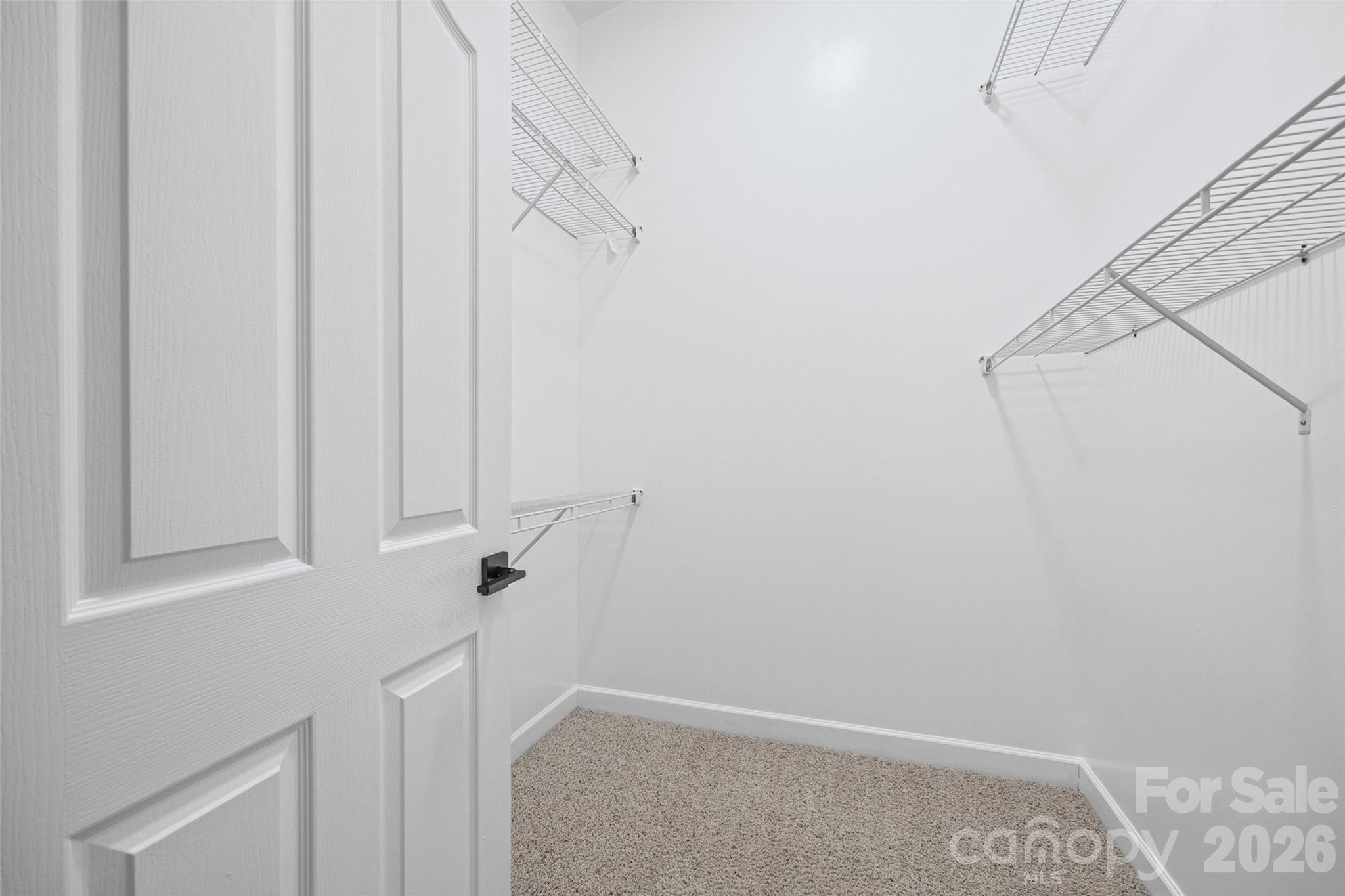 12363 Copper Mountain Boulevard Property Photo 31