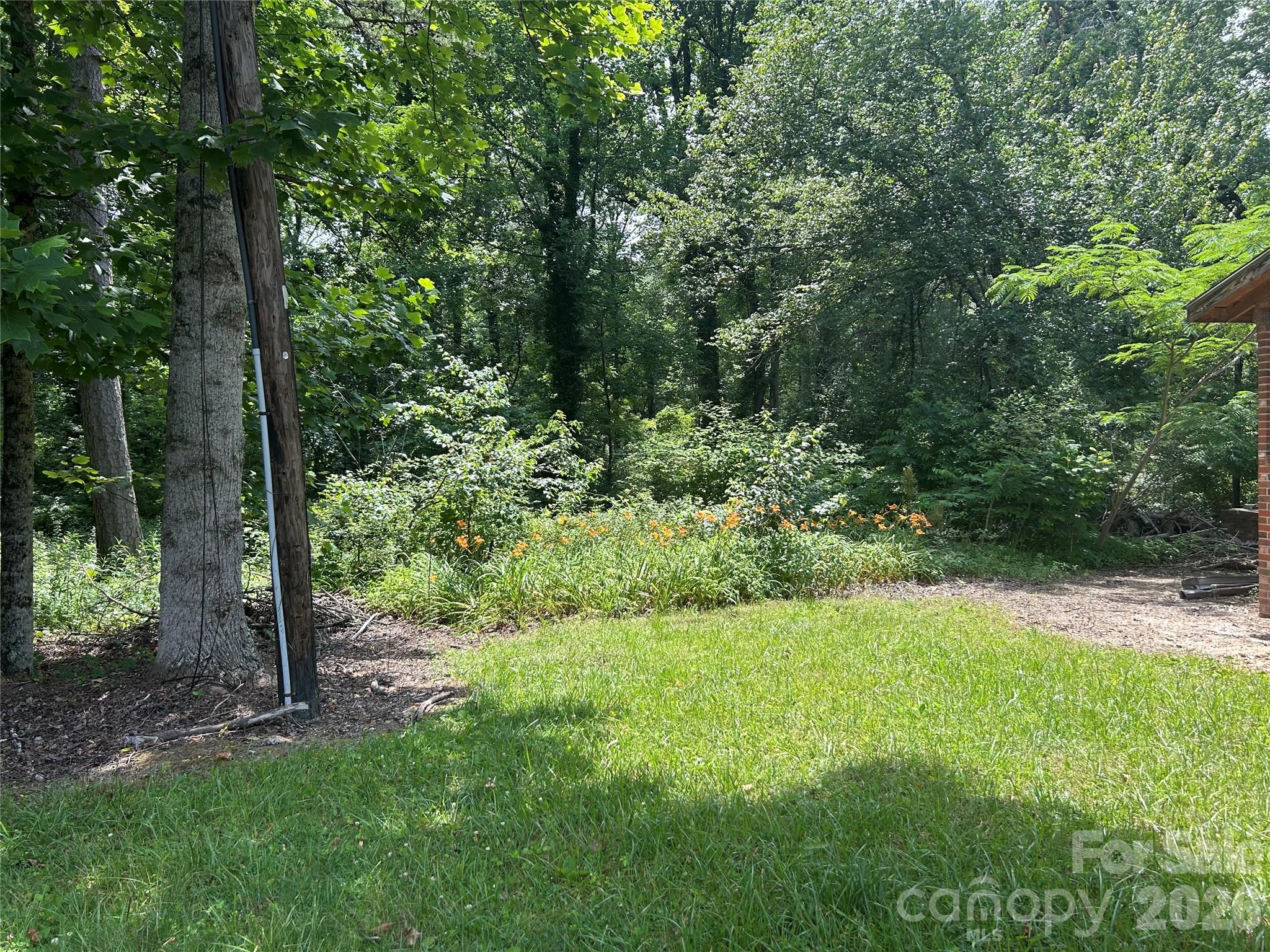 3177 Haywood Road Property Photo 4