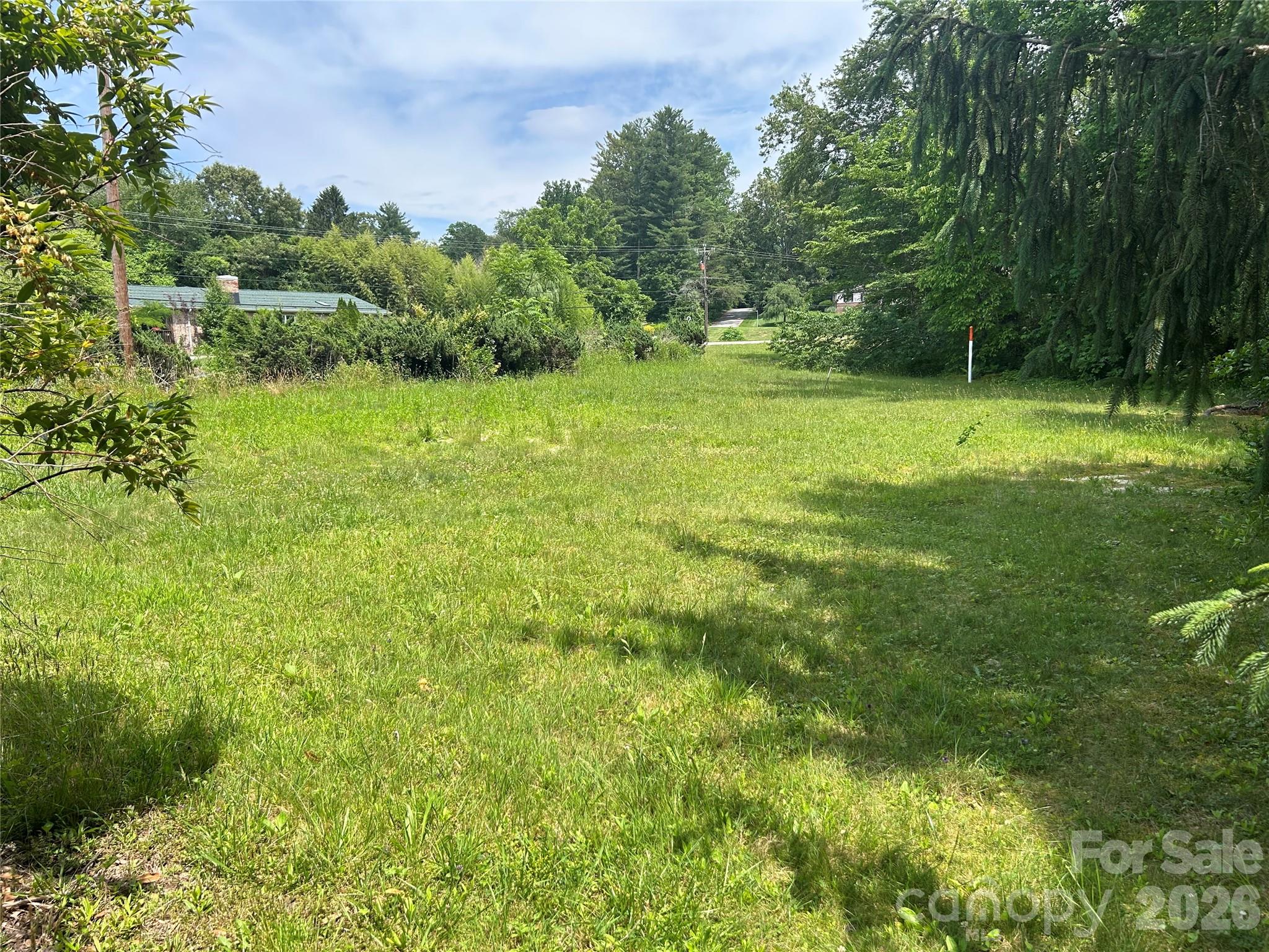3177 Haywood Road Property Photo 5