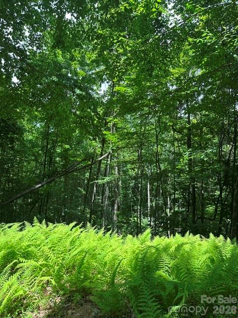 1094 Us 321 Highway Property Photo 9