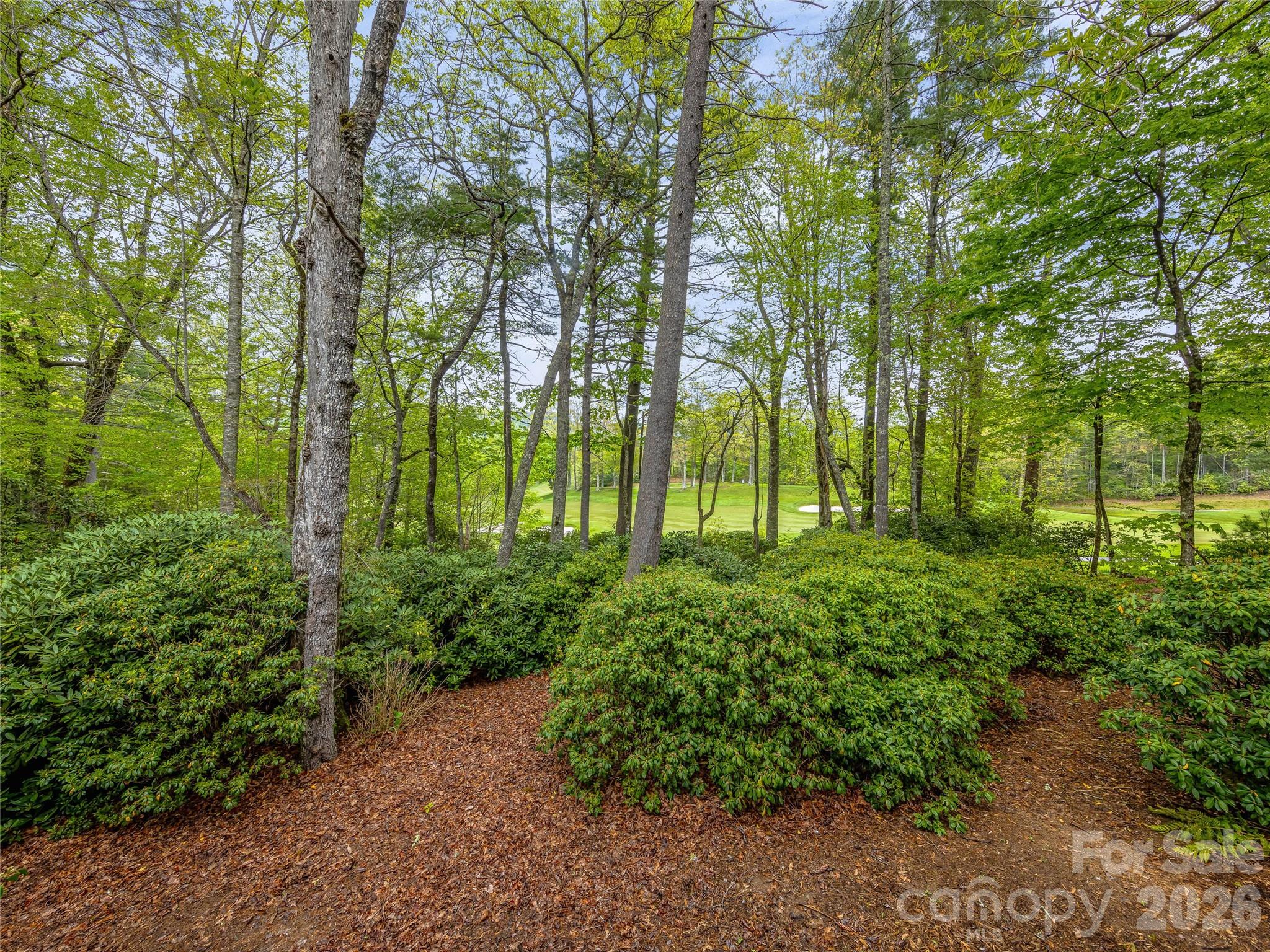 250 Fairway Drive Property Photo 31