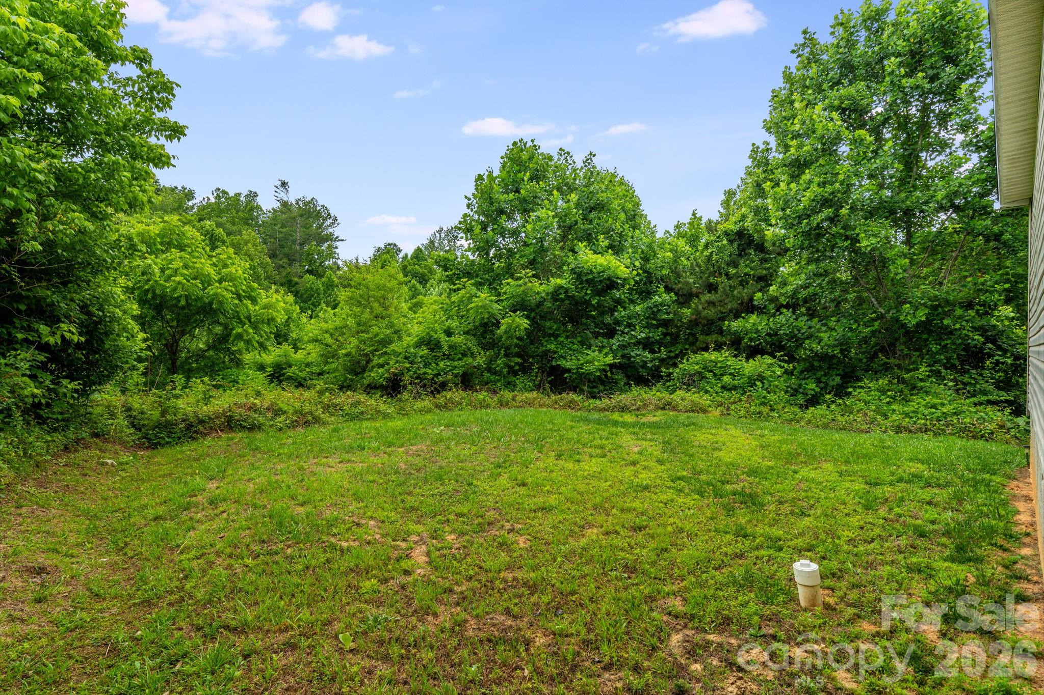 77 Star Flower Road Property Photo 27