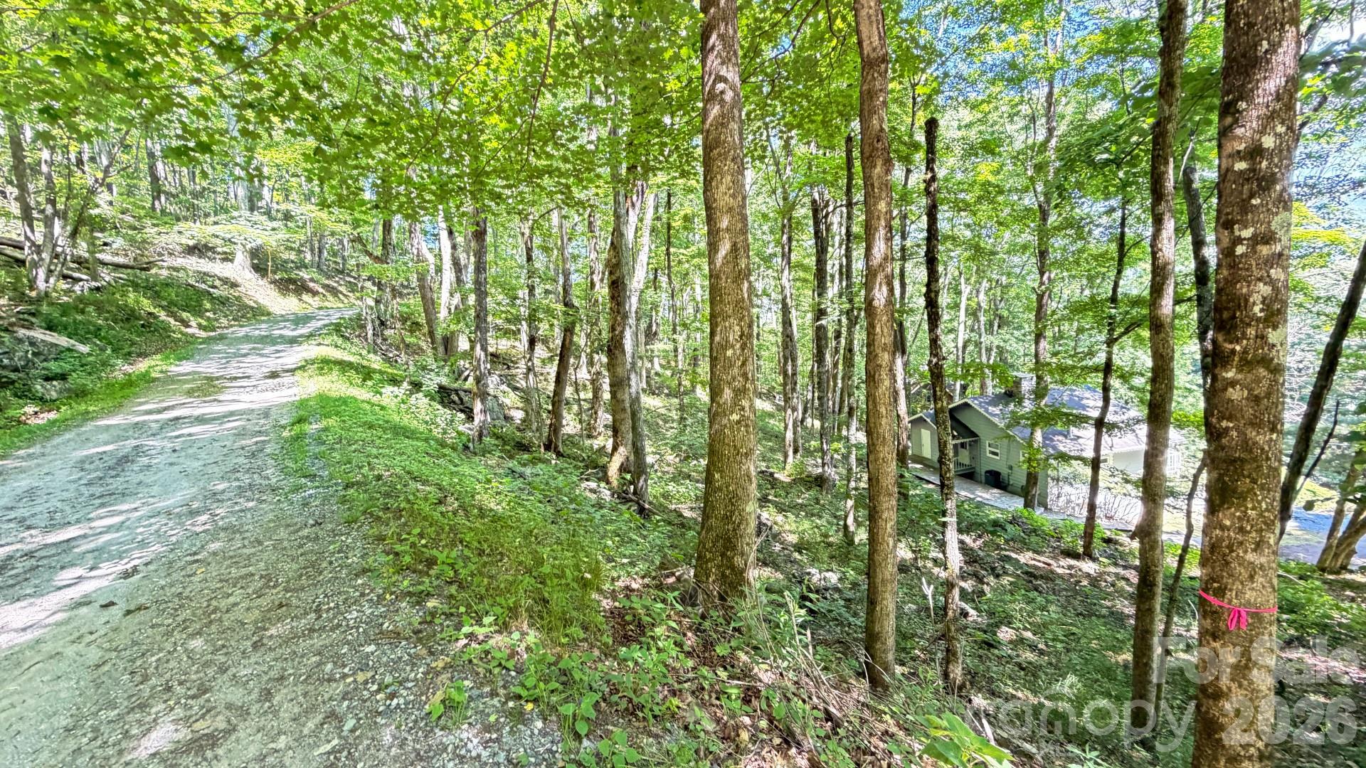 Tbd Greencove Drive Property Photo 4
