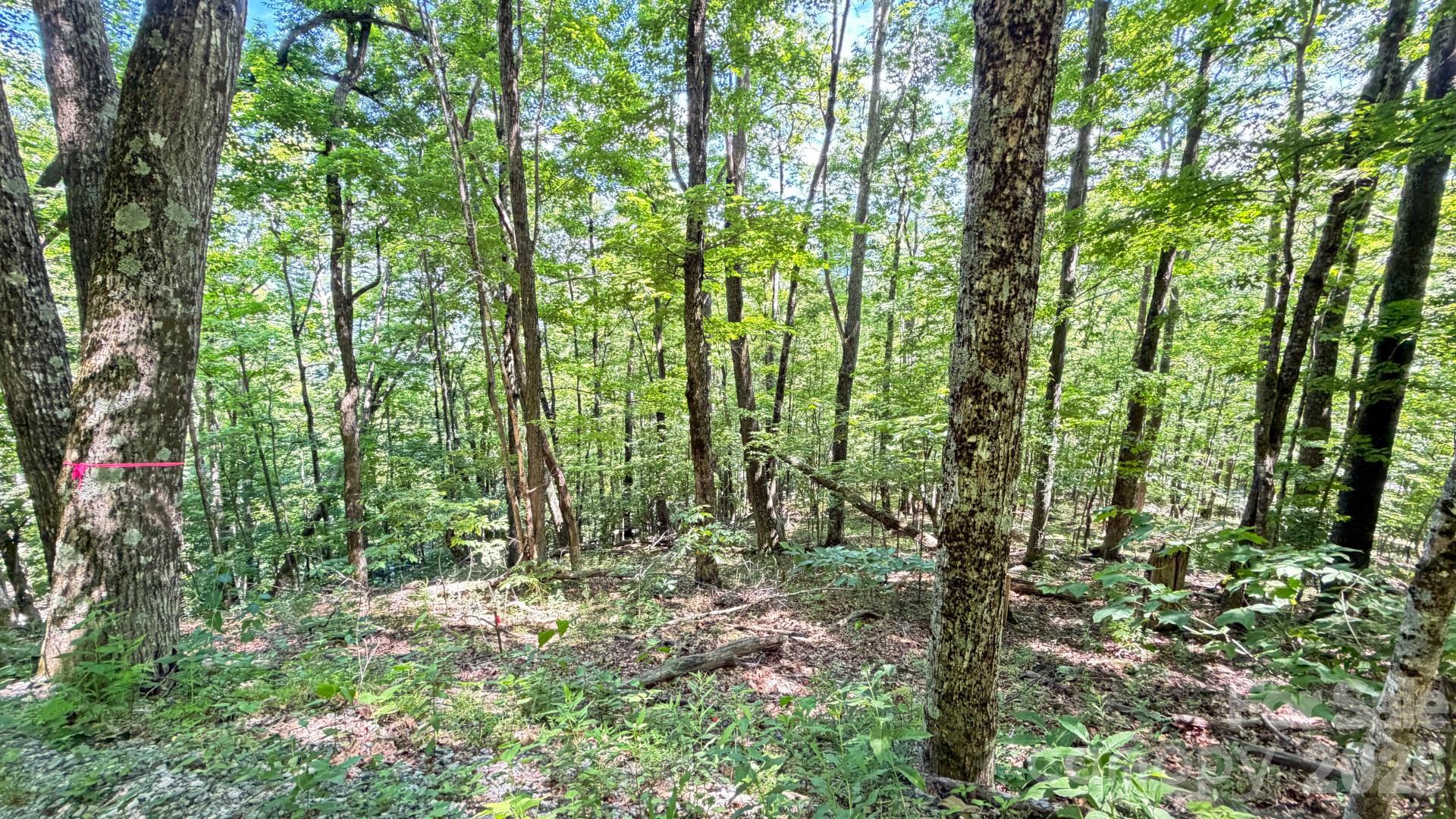Tbd Greencove Drive Property Photo 5