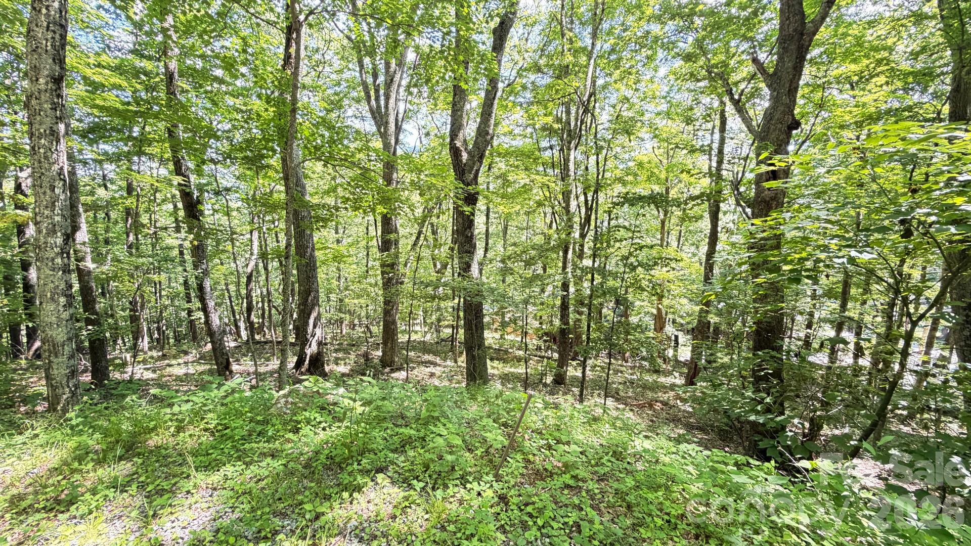 Tbd Greencove Drive Property Photo 6