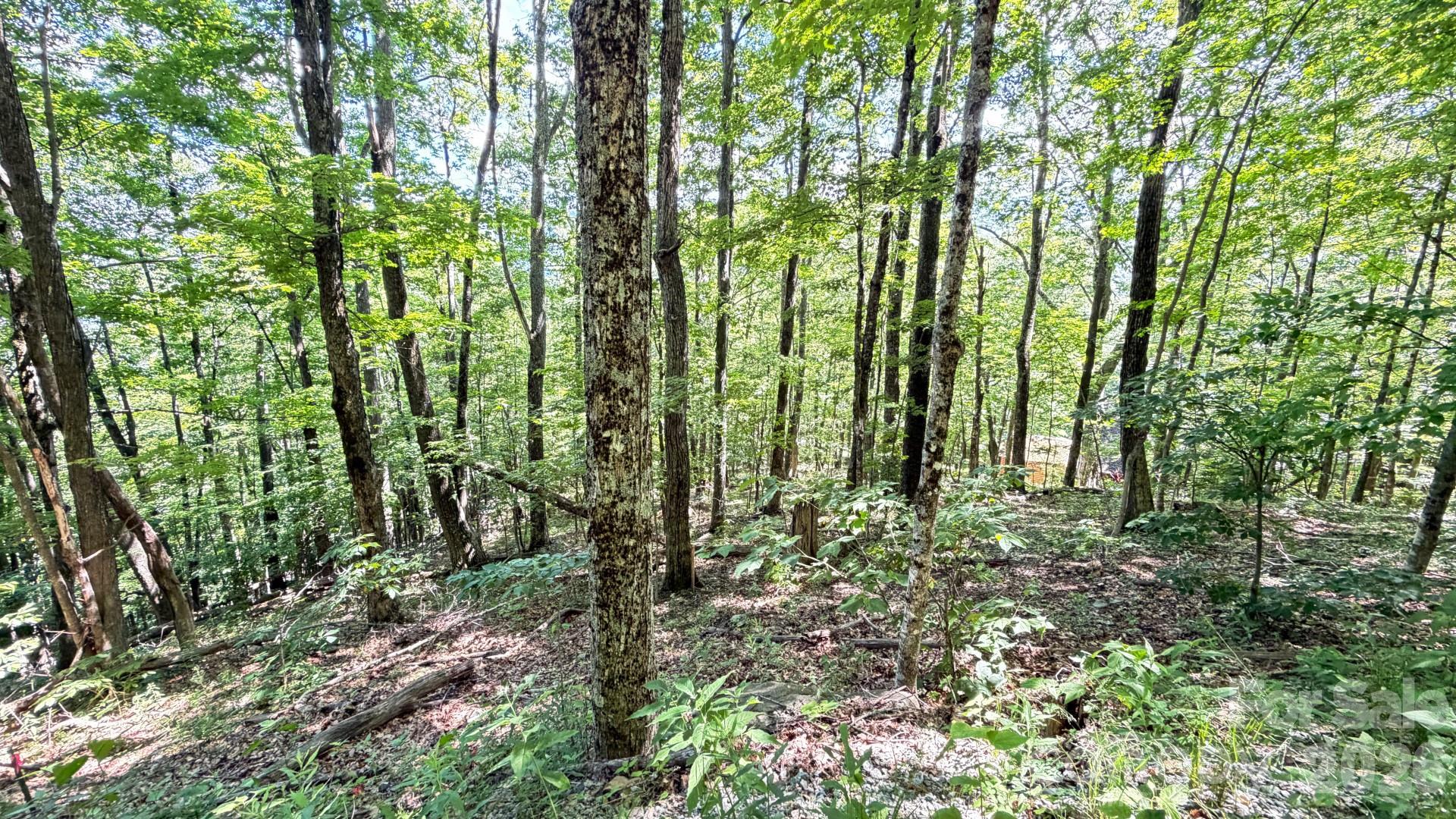 Tbd Greencove Drive Property Photo 7