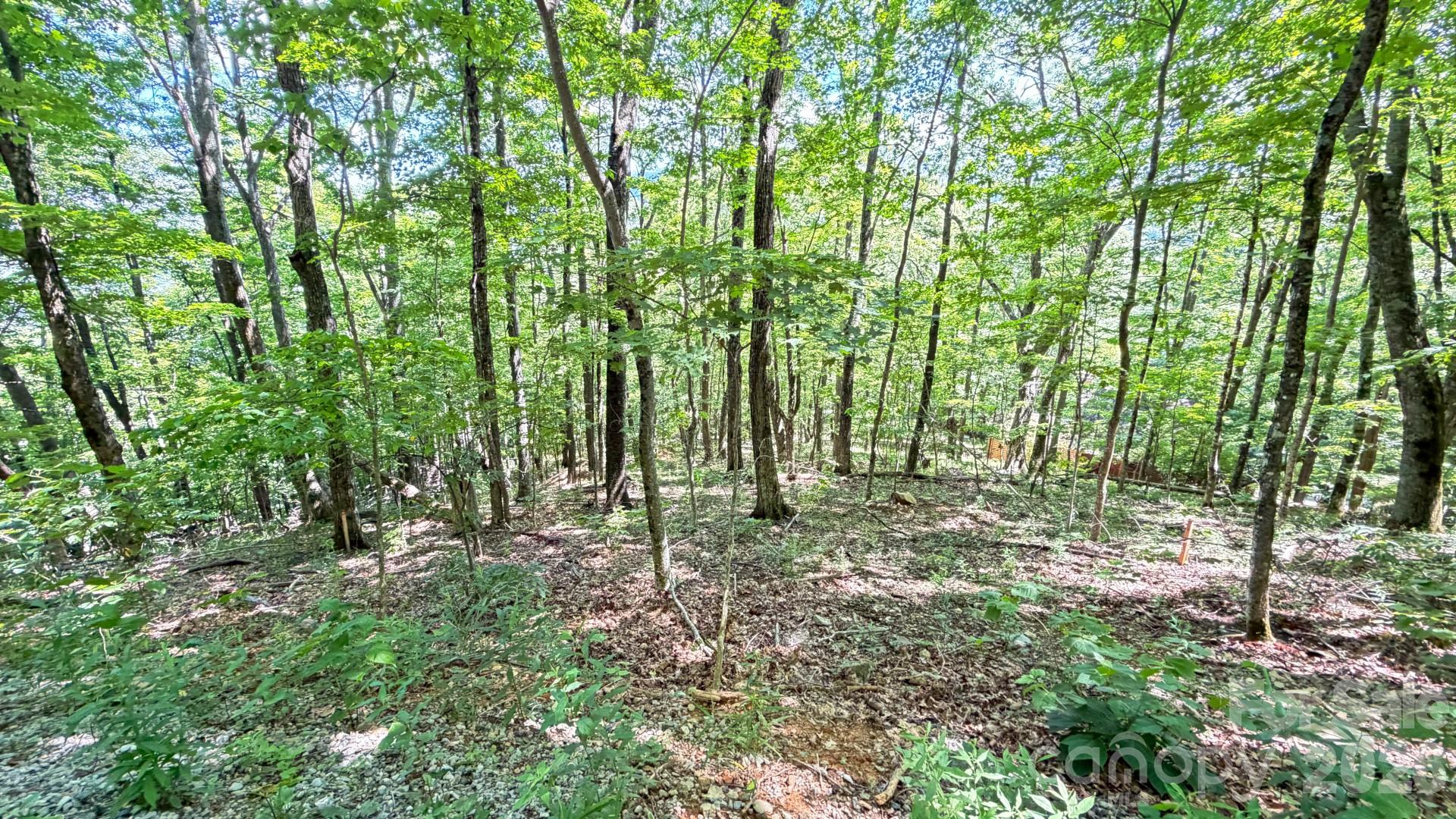 Tbd Greencove Drive Property Photo 11