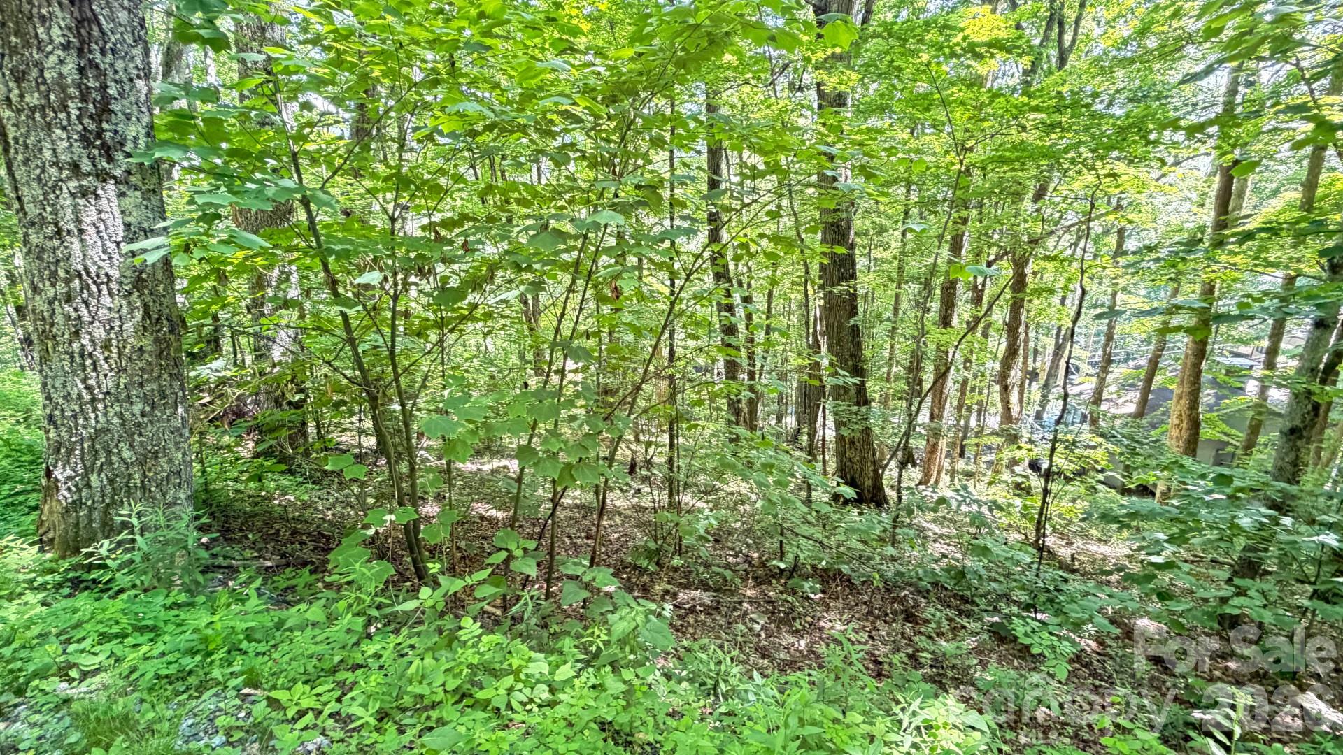Tbd Greencove Drive Property Photo 27