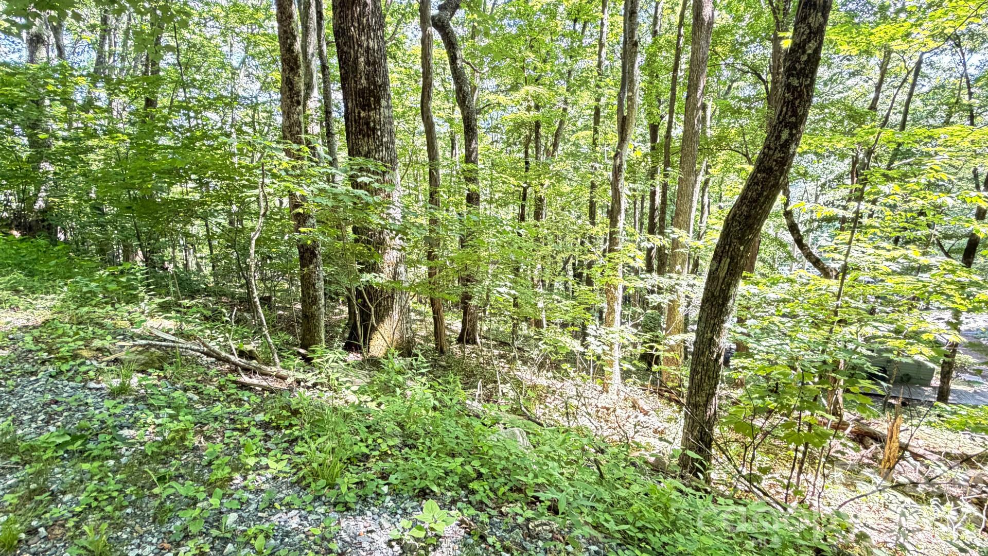 Tbd Greencove Drive Property Photo 29