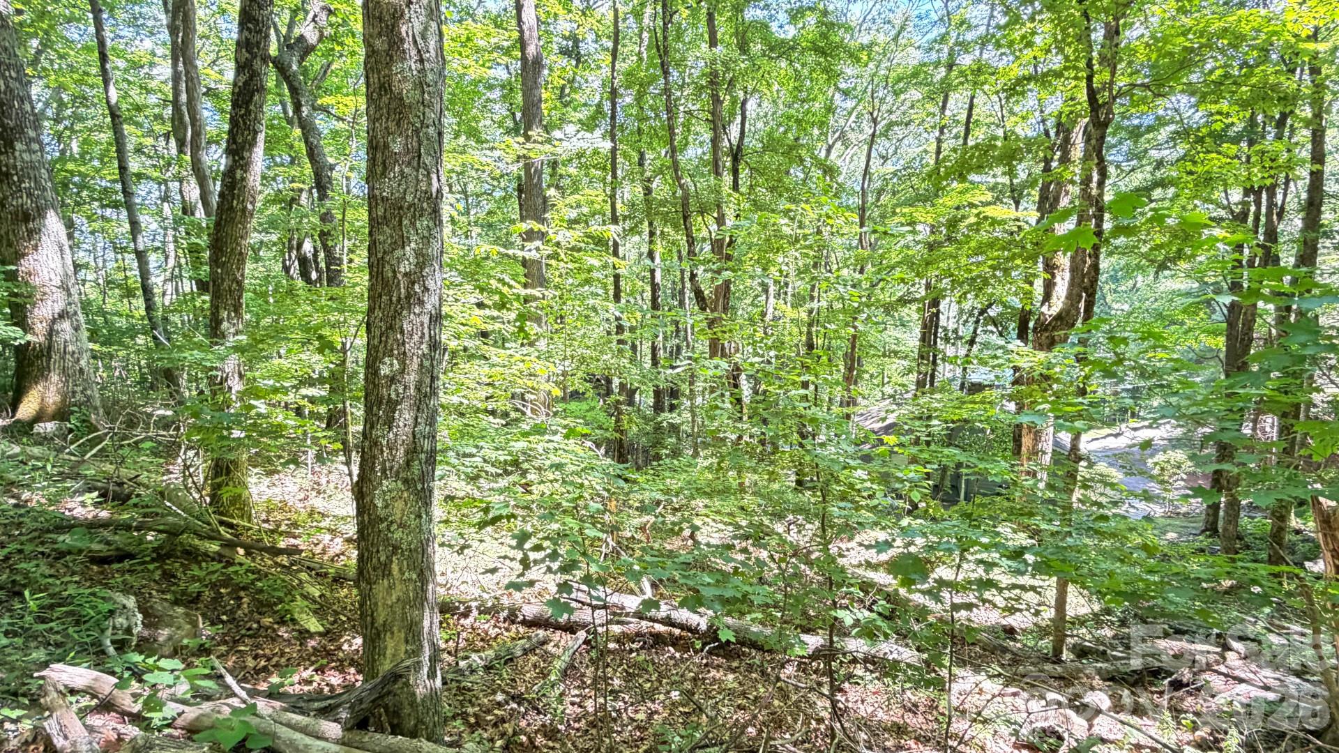 Tbd Greencove Drive Property Photo 30