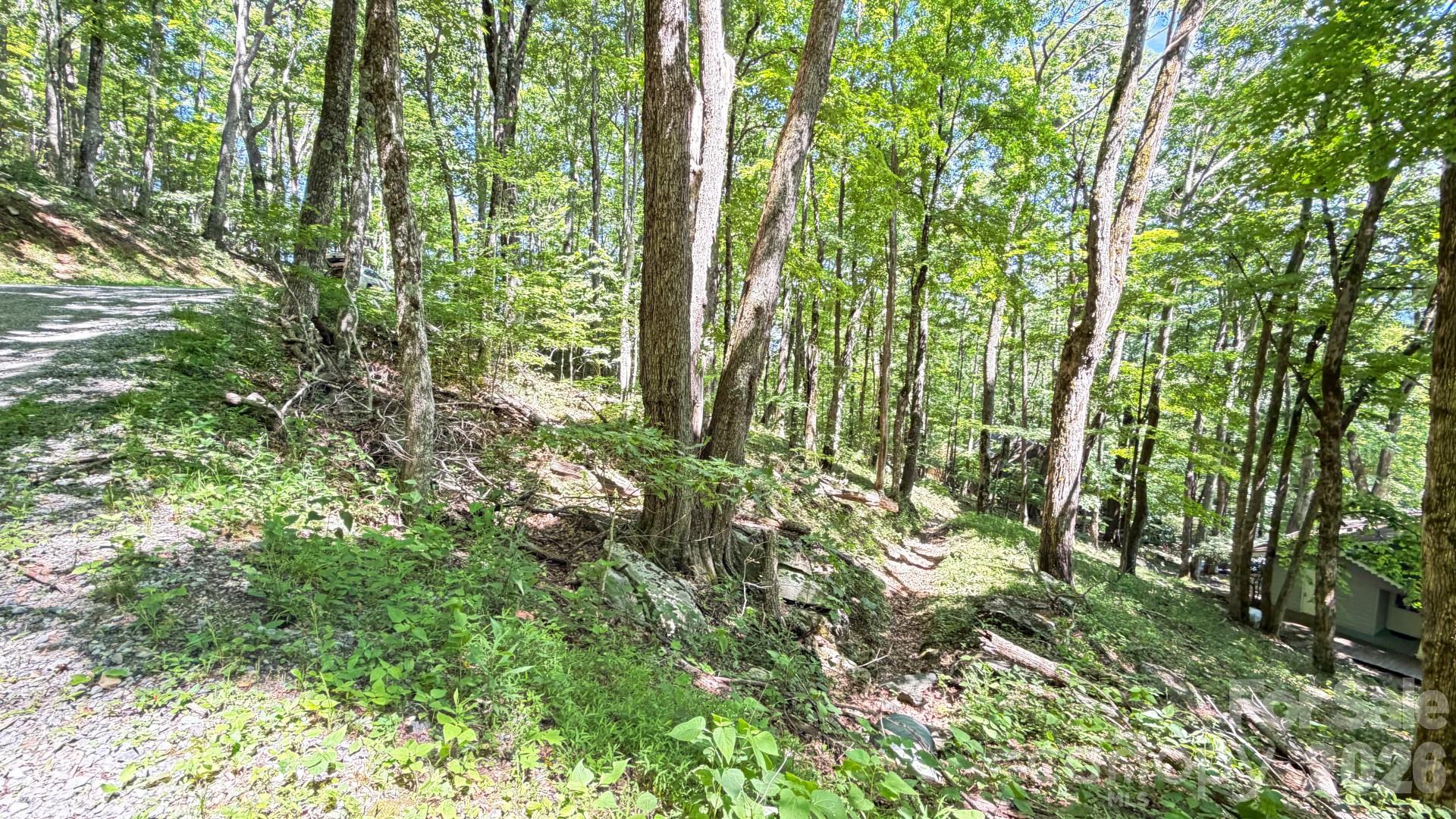 Tbd Greencove Drive Property Photo 31