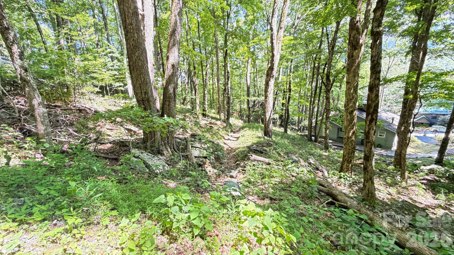 Tbd Greencove Drive Property Photo 32