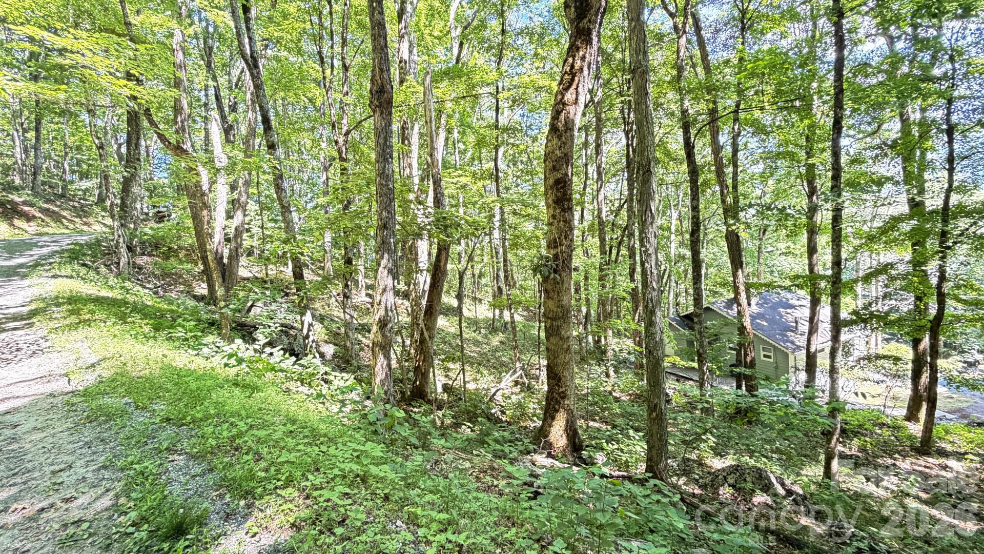 Tbd Greencove Drive Property Photo 34