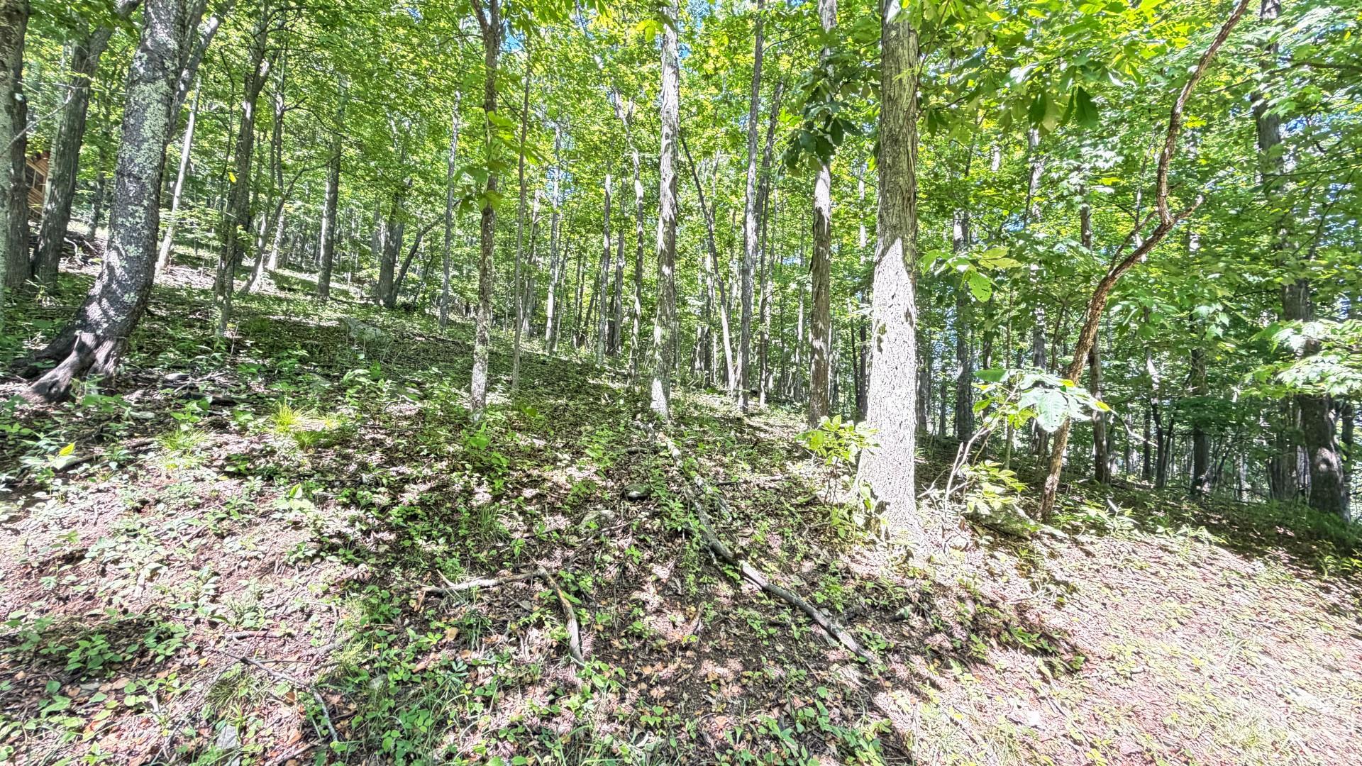 Tbd Greencove Drive Property Photo 37