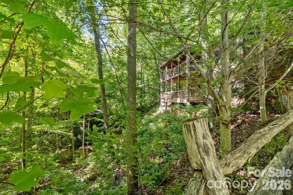 47 Falls Crossing Road Property Photo 4