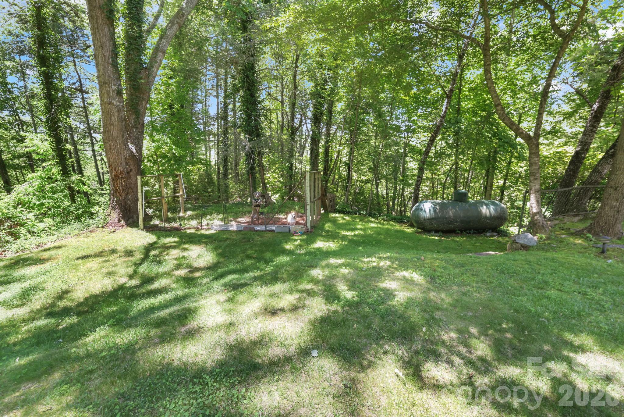 3324 Hwy 28 Road Property Photo 43