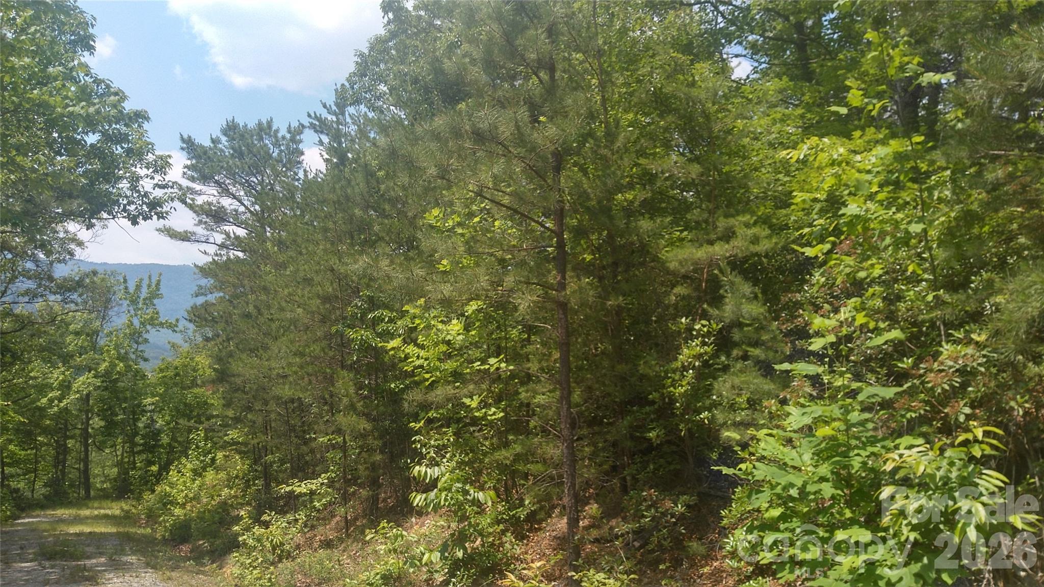 Lot 2f Seminole Path Property Photo 12