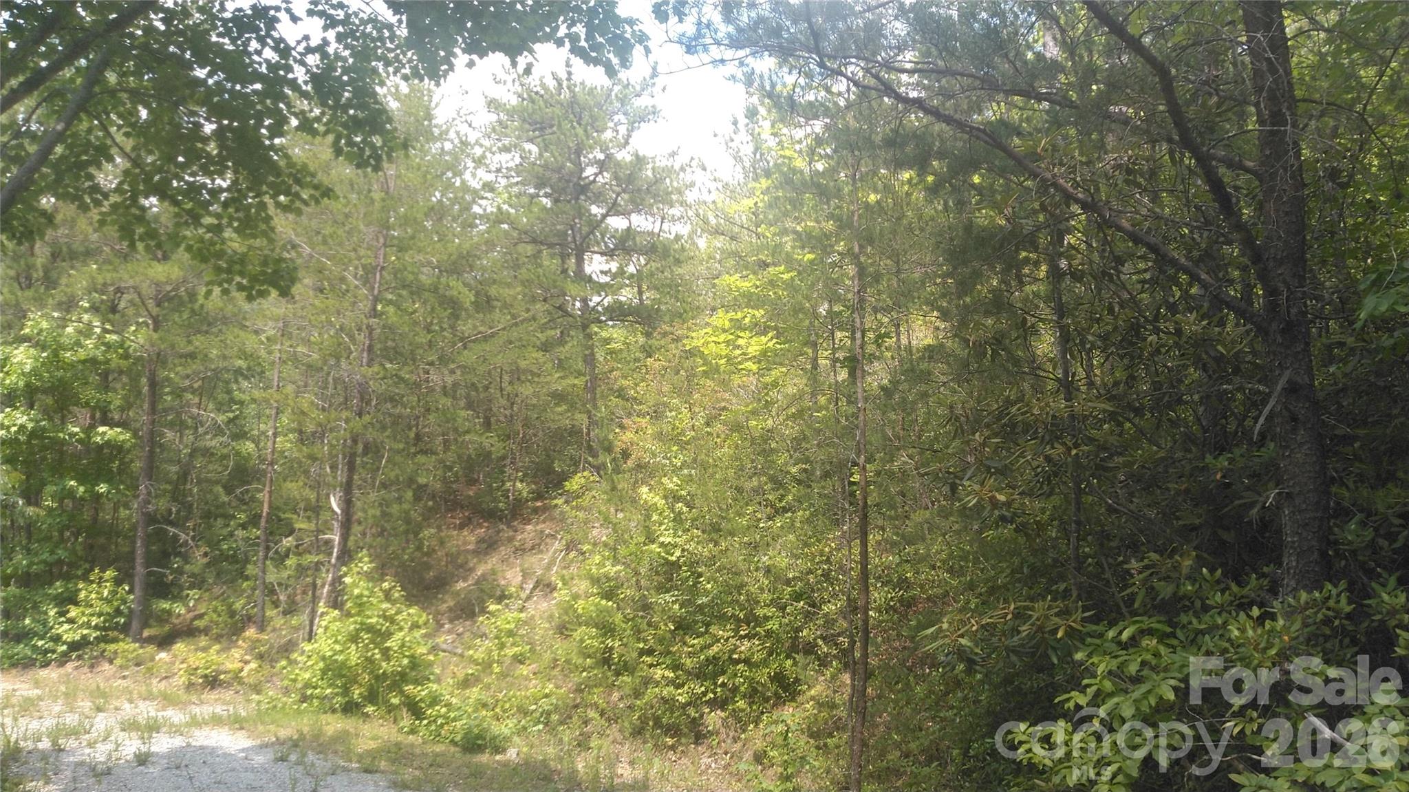 Lot 2f Seminole Path Property Photo 13