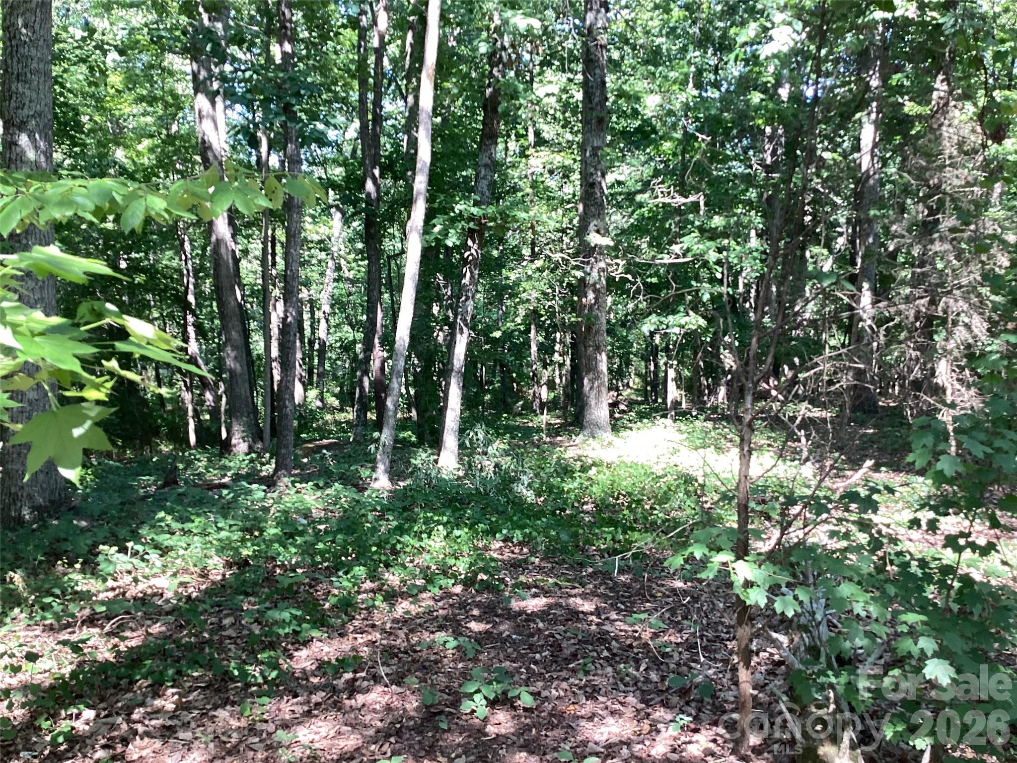 2870 Dunns Mountain Road Property Photo 1
