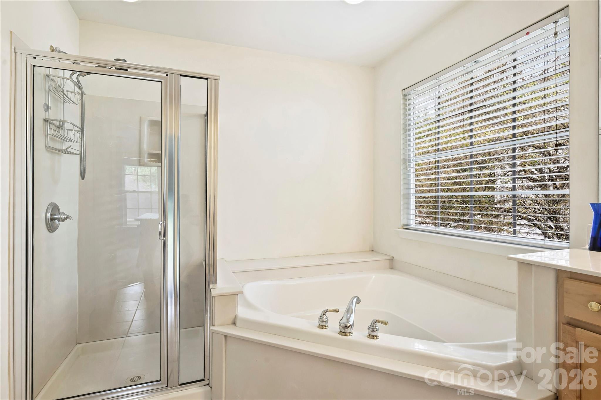 9318 Autumn Applause Drive Property Photo 31