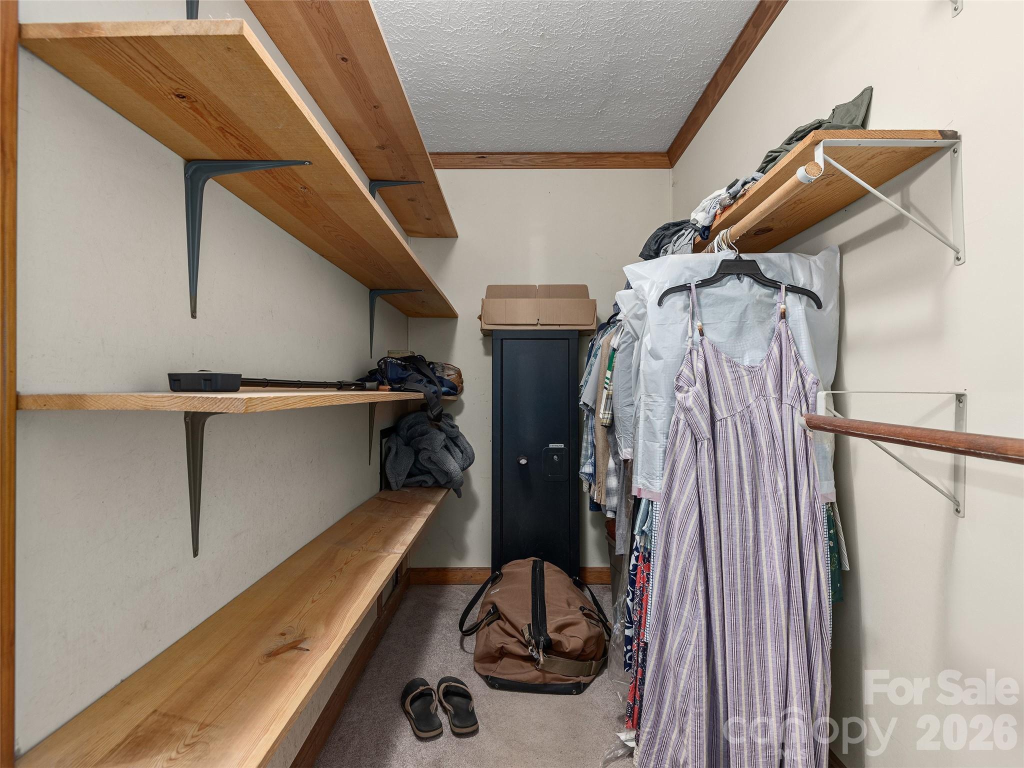 3 Carolewood Drive Property Photo 15