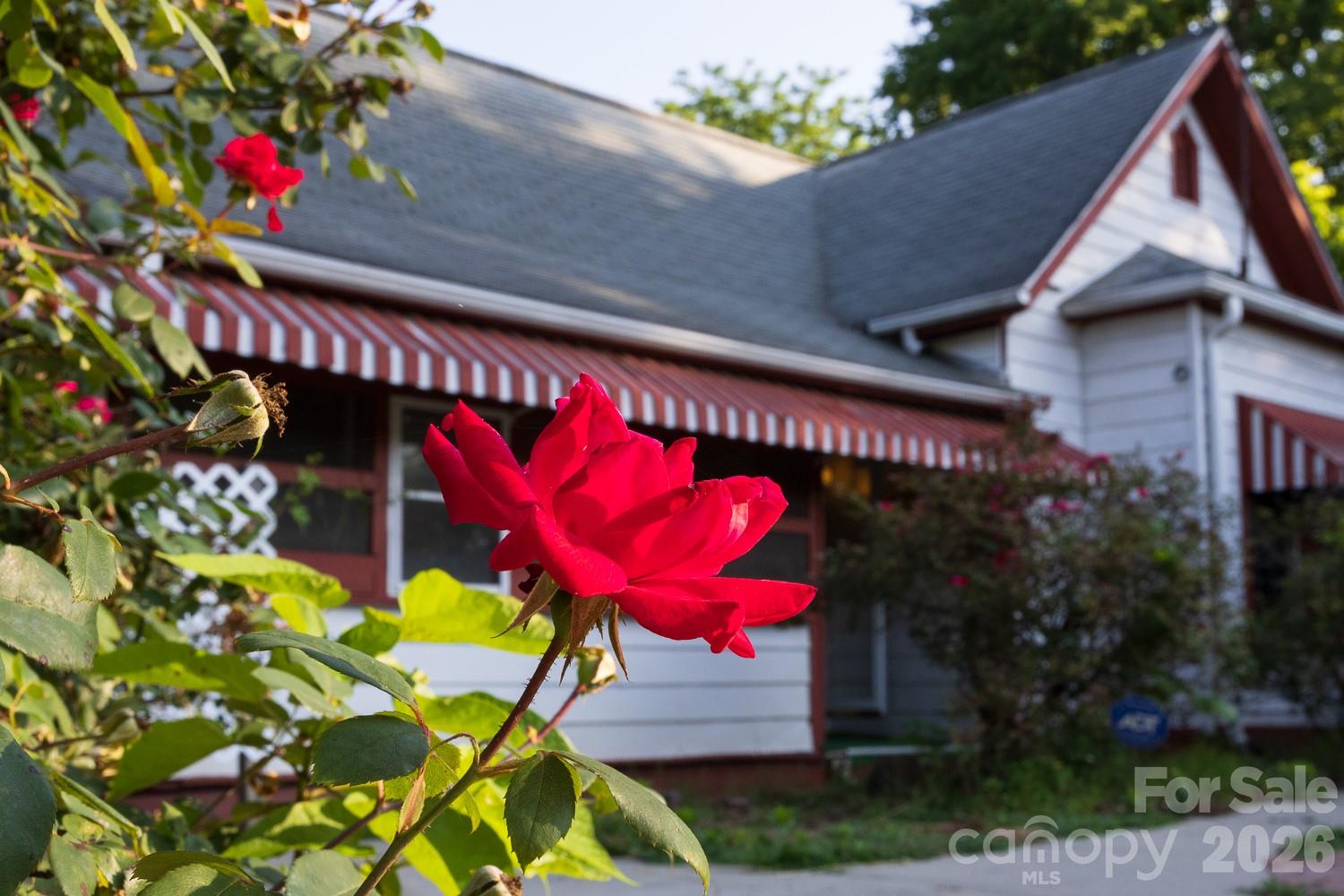 91 Clingman Avenue Property Photo 3
