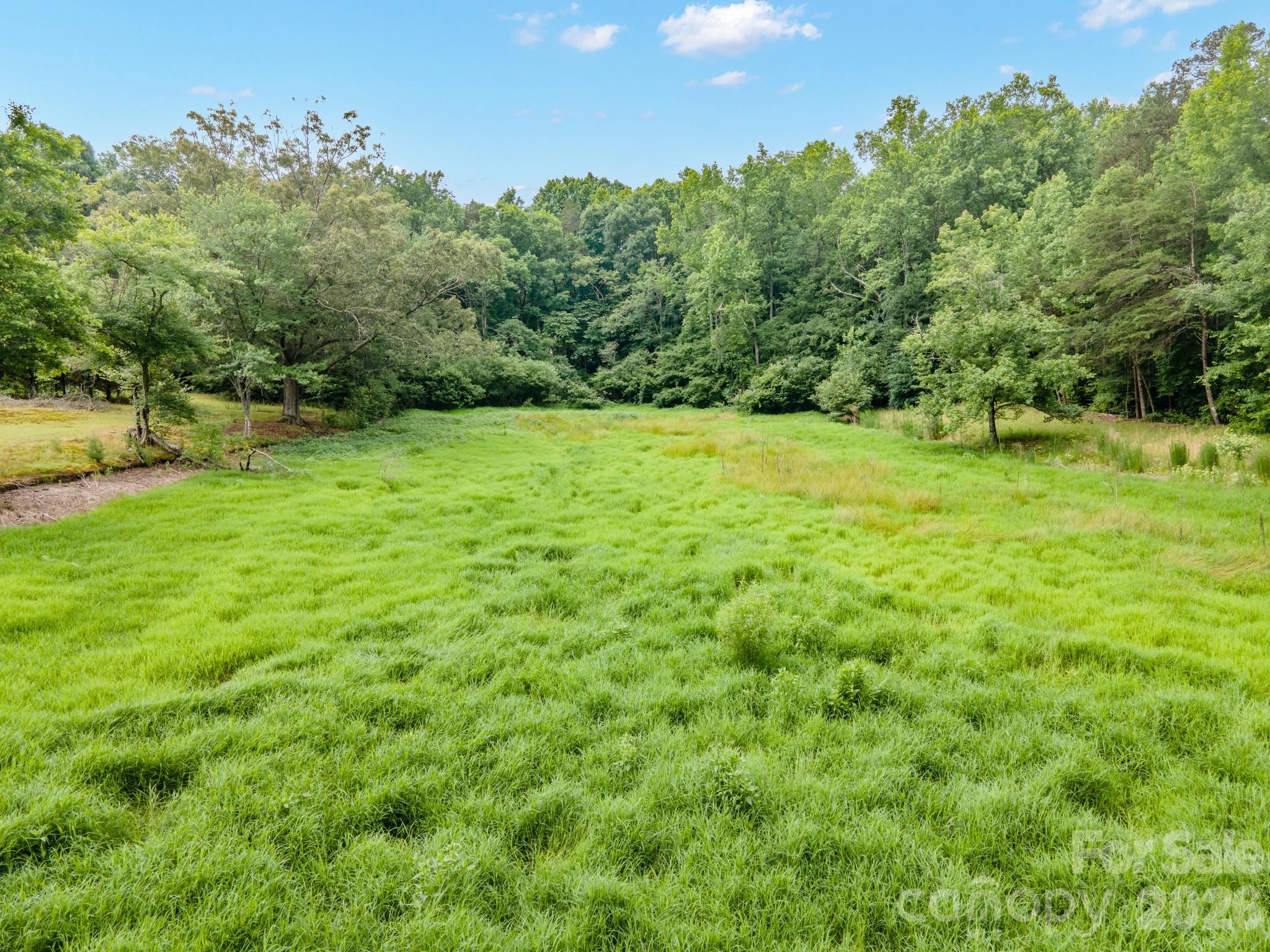 1147 Creekside Drive Property Photo 9