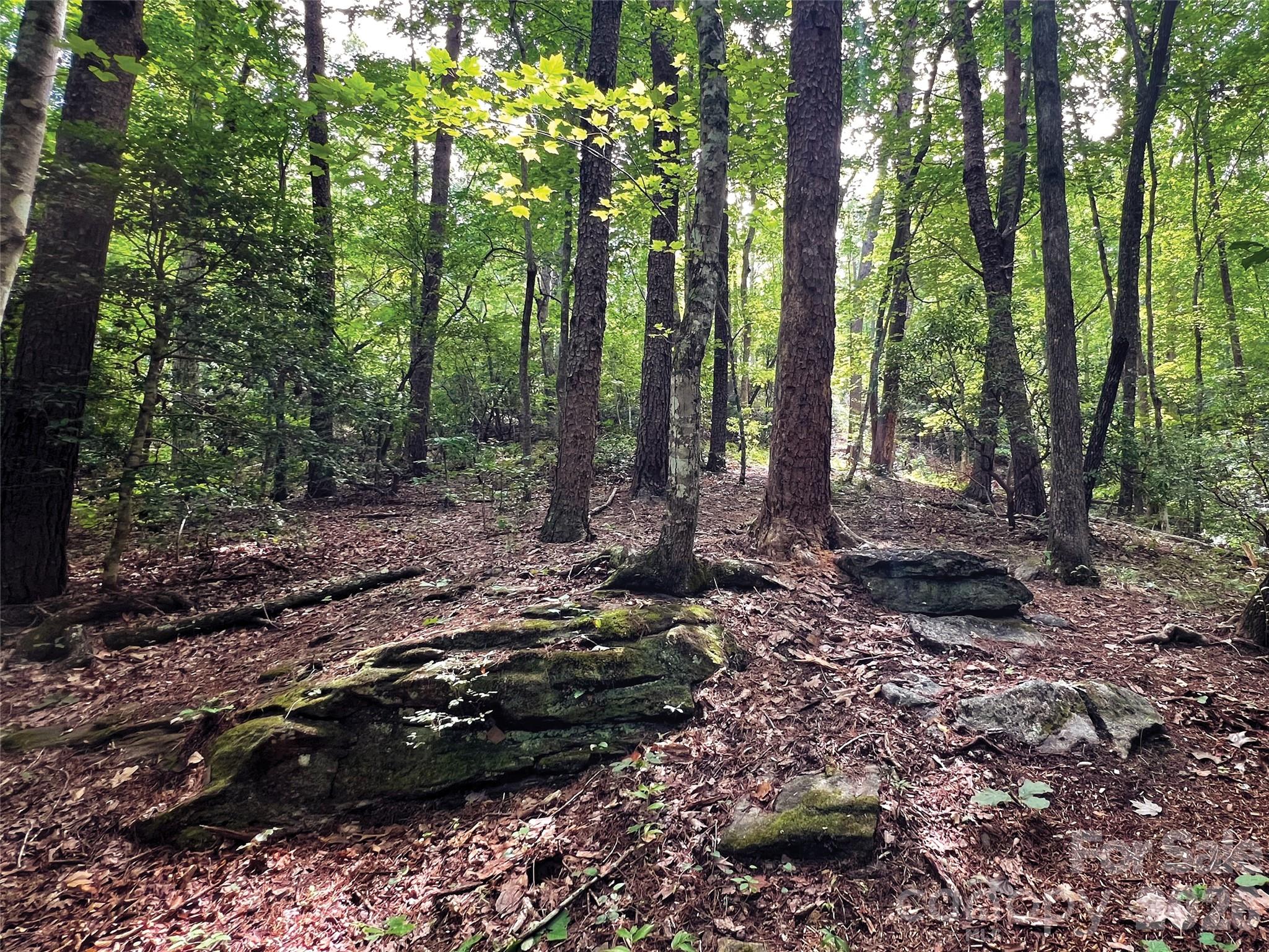 00000 Shady Bark Lane 43 & #44 Property Photo 6