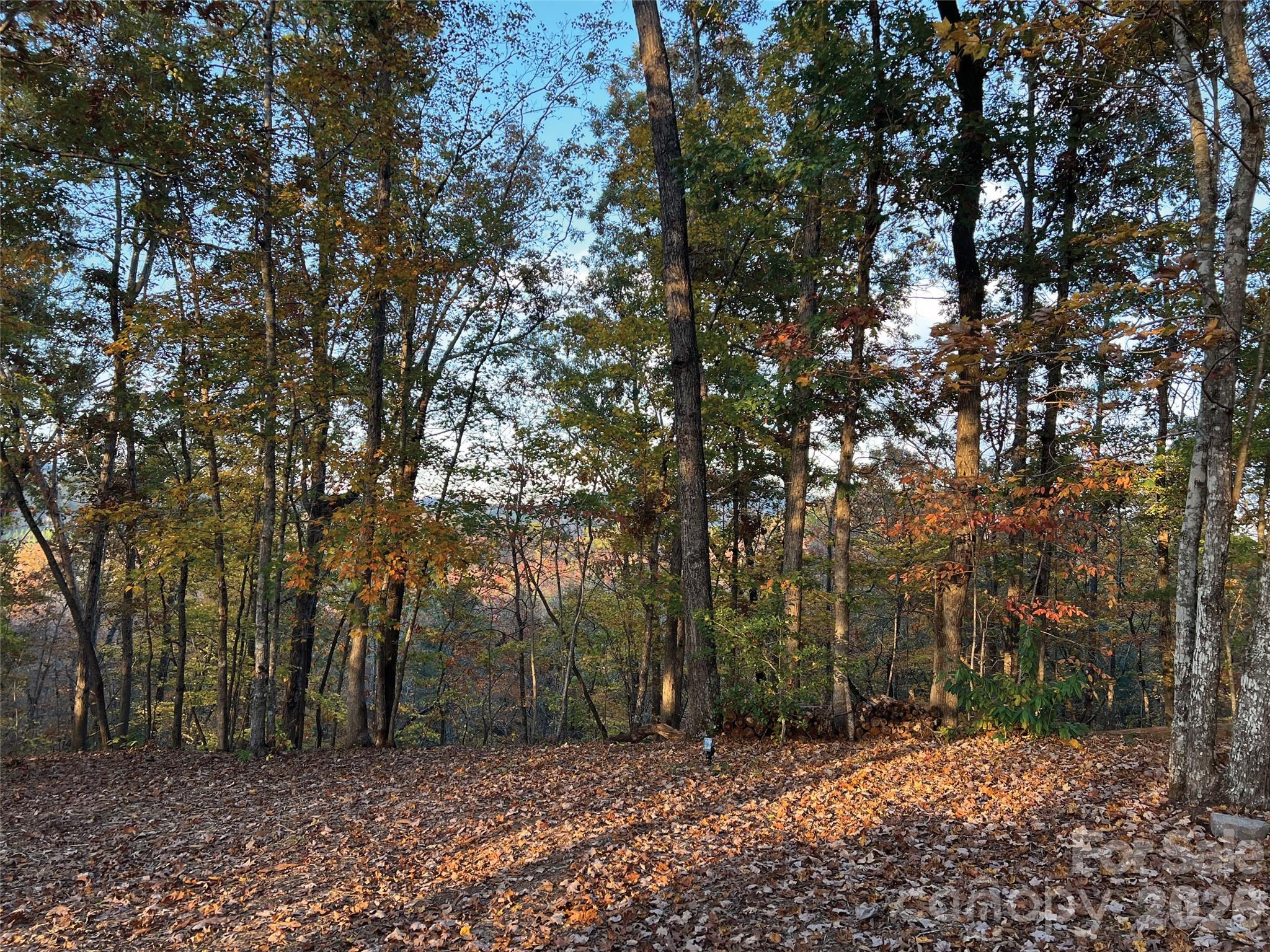 00000 Shady Bark Lane 43 & #44 Property Photo 8
