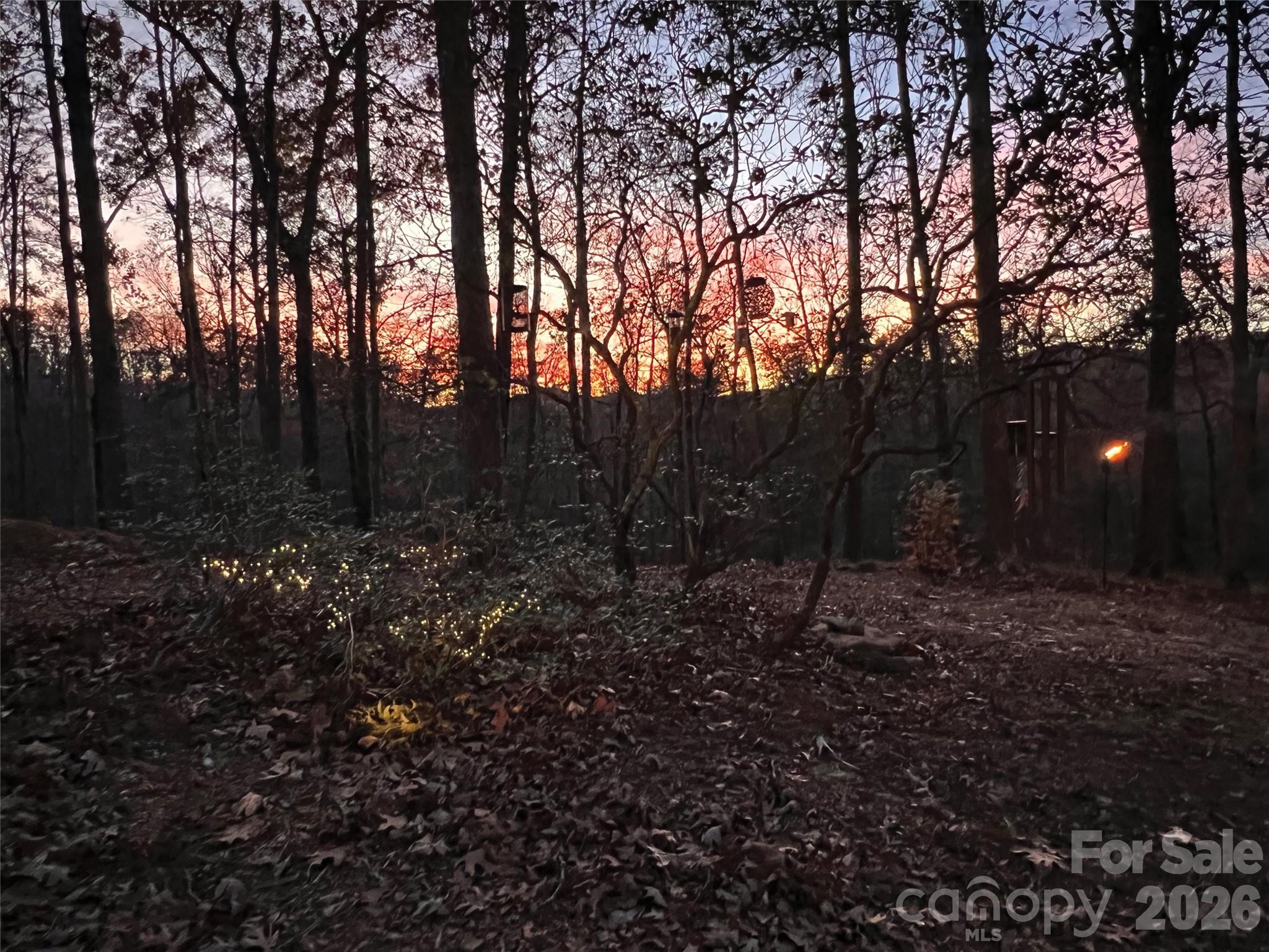 00000 Shady Bark Lane 43 & #44 Property Photo 22