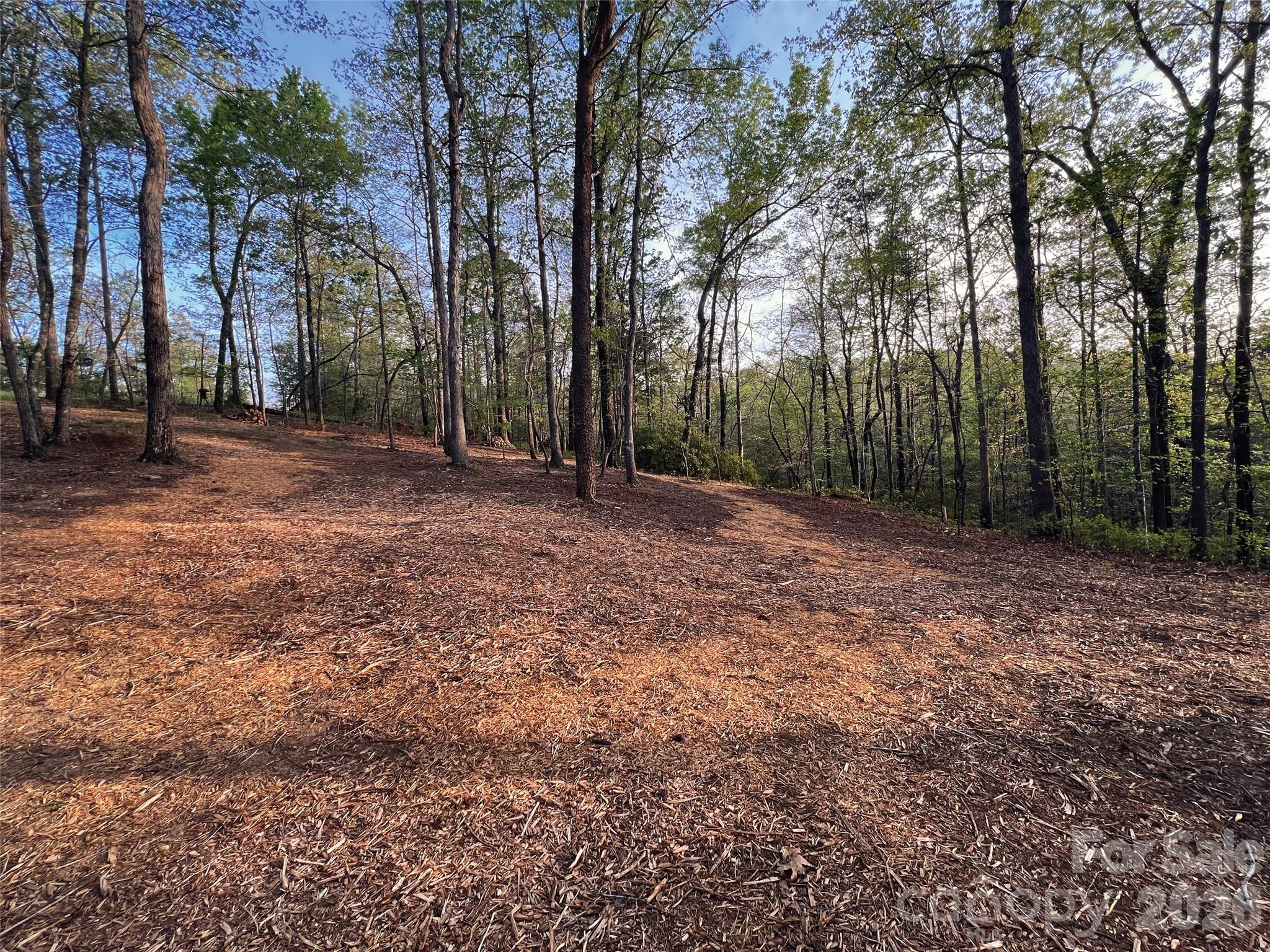 00000 Shady Bark Lane 43 & #44 Property Photo 23