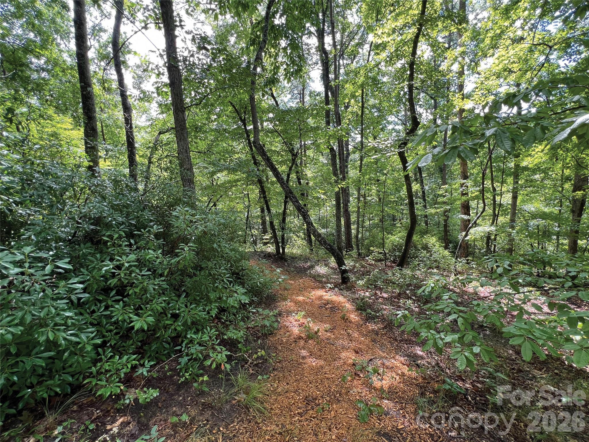 00000 Shady Bark Lane 43 & #44 Property Photo 27