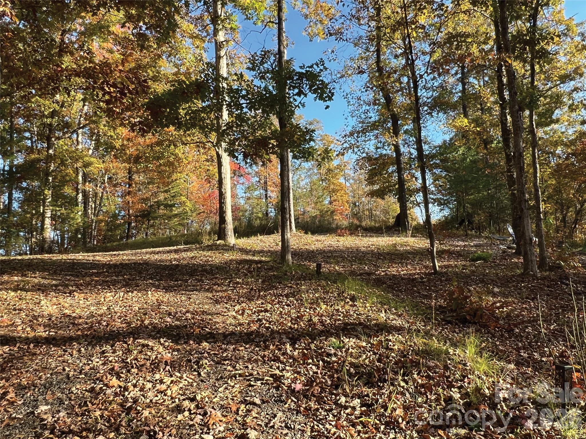 00000 Shady Bark Lane 43 & #44 Property Photo 32