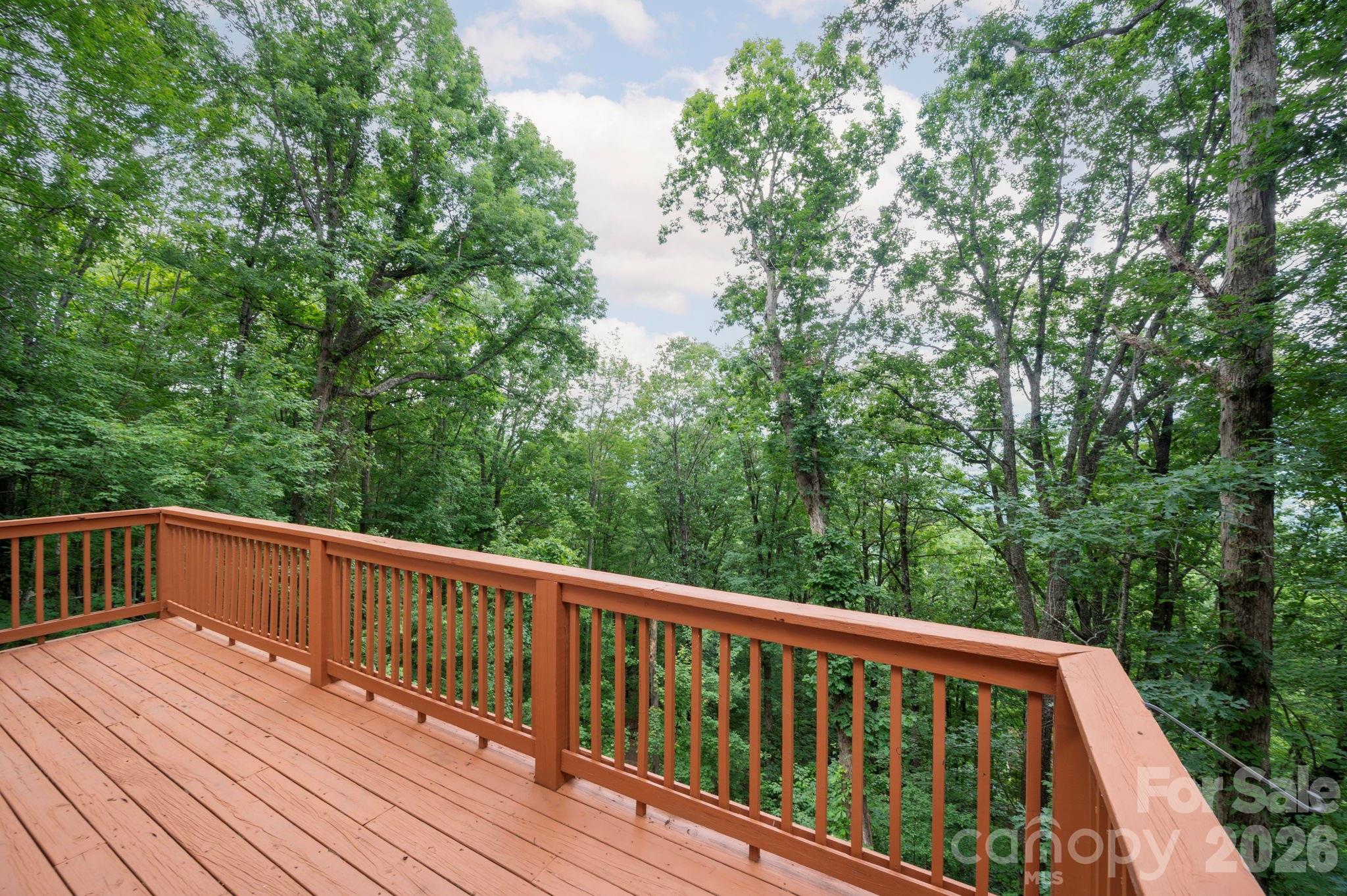 72 Wildflower Mountain Trail Property Photo 32