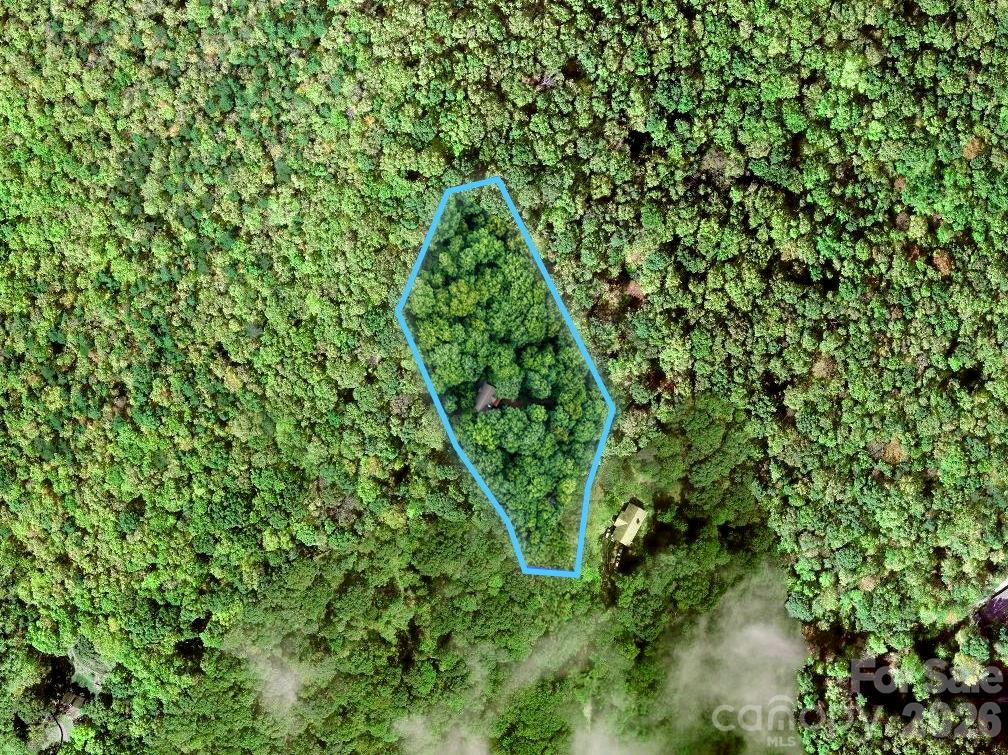 72 Wildflower Mountain Trail Property Photo 37
