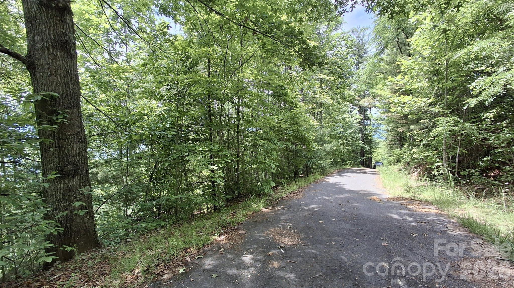 112 Kako Ridge 59 Property Photo 5