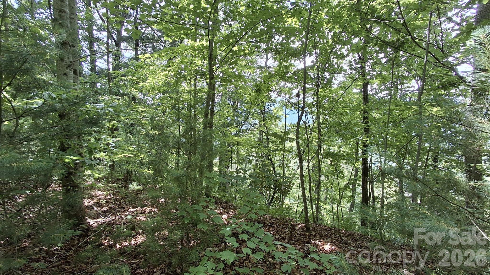 112 Kako Ridge 59 Property Photo 10