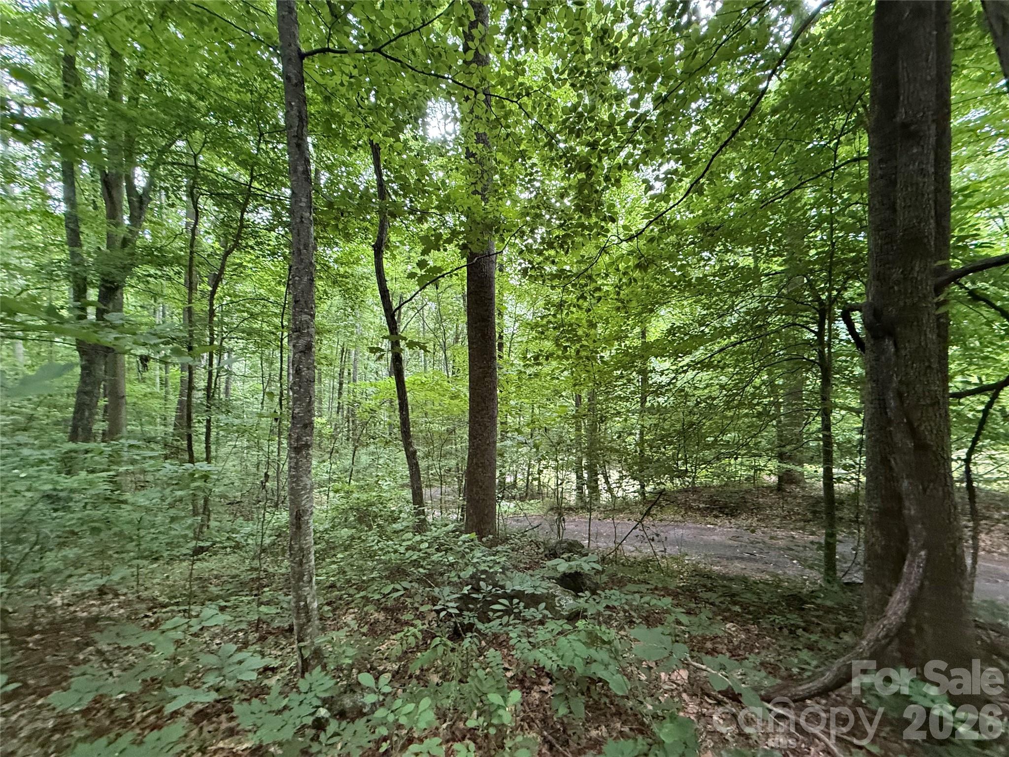 9999 Countryside Estate Property Photo 12