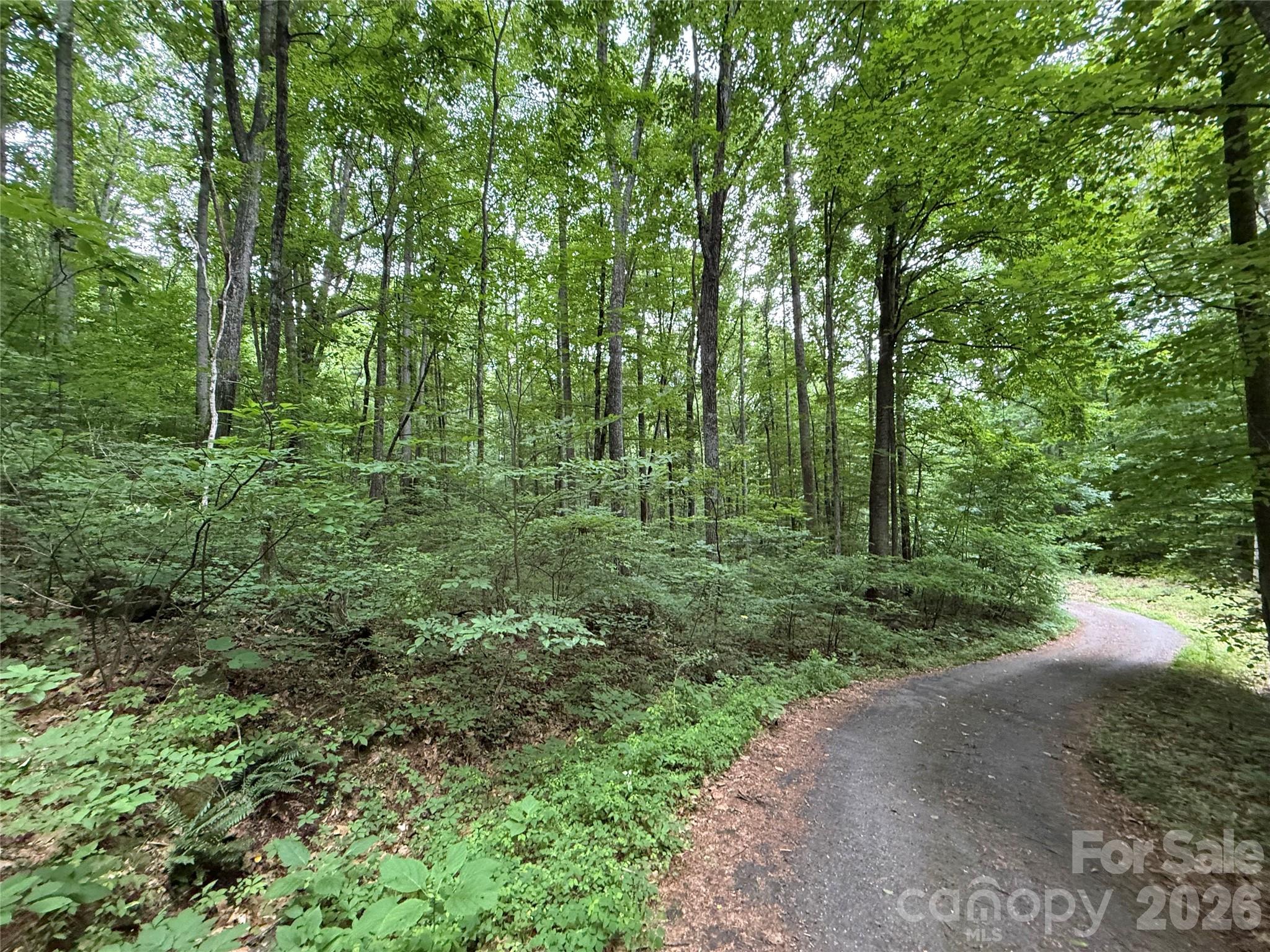 9999 Countryside Estate Property Photo 18