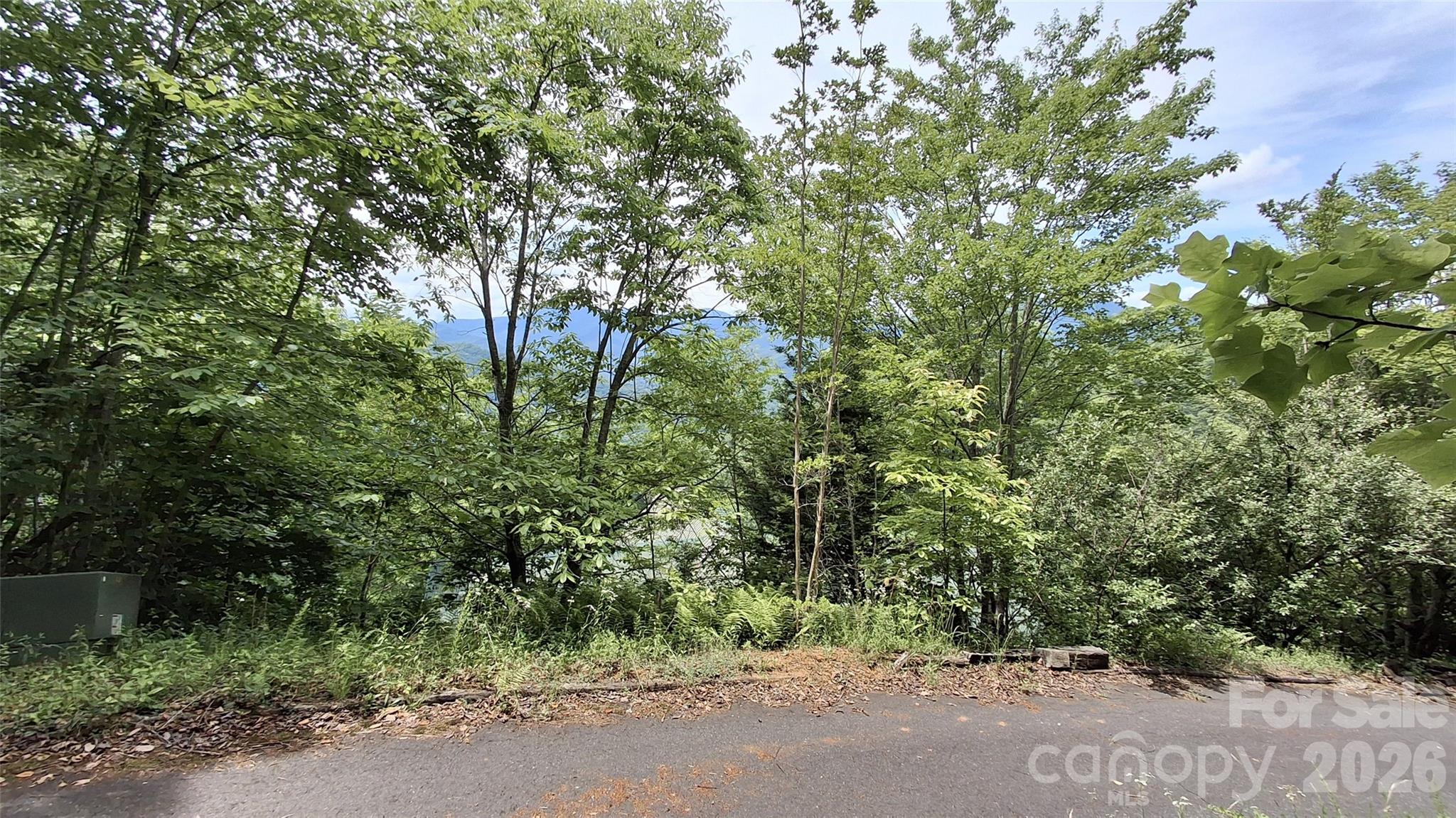 77 Kako Ridge 57 Property Photo 10