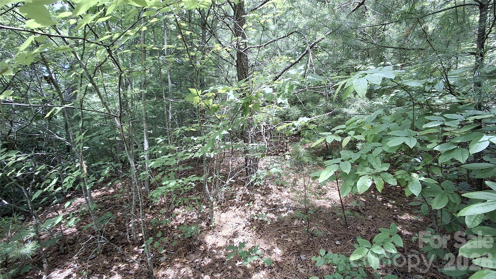 77 Kako Ridge 57 Property Photo 12