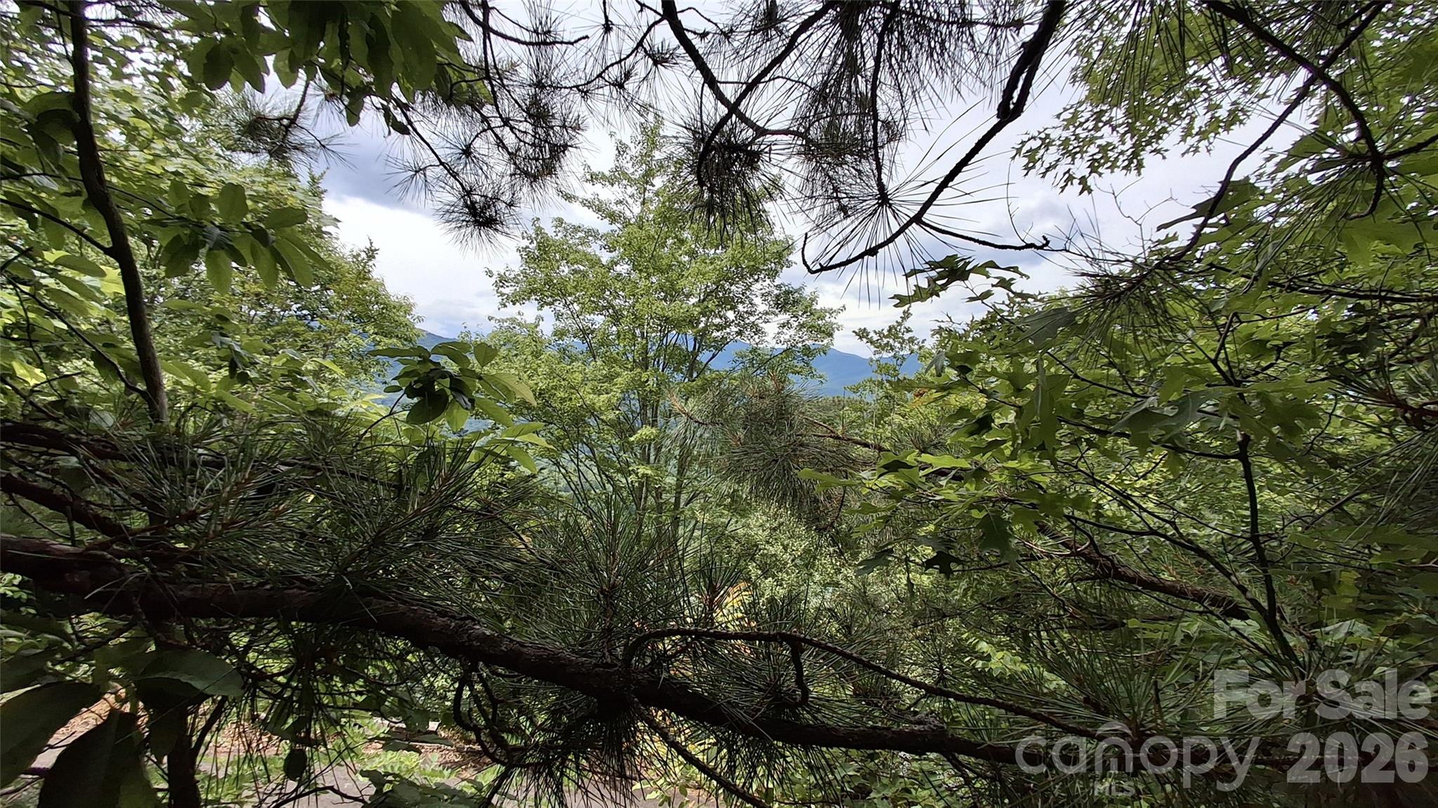 77 Kako Ridge 57 Property Photo 13