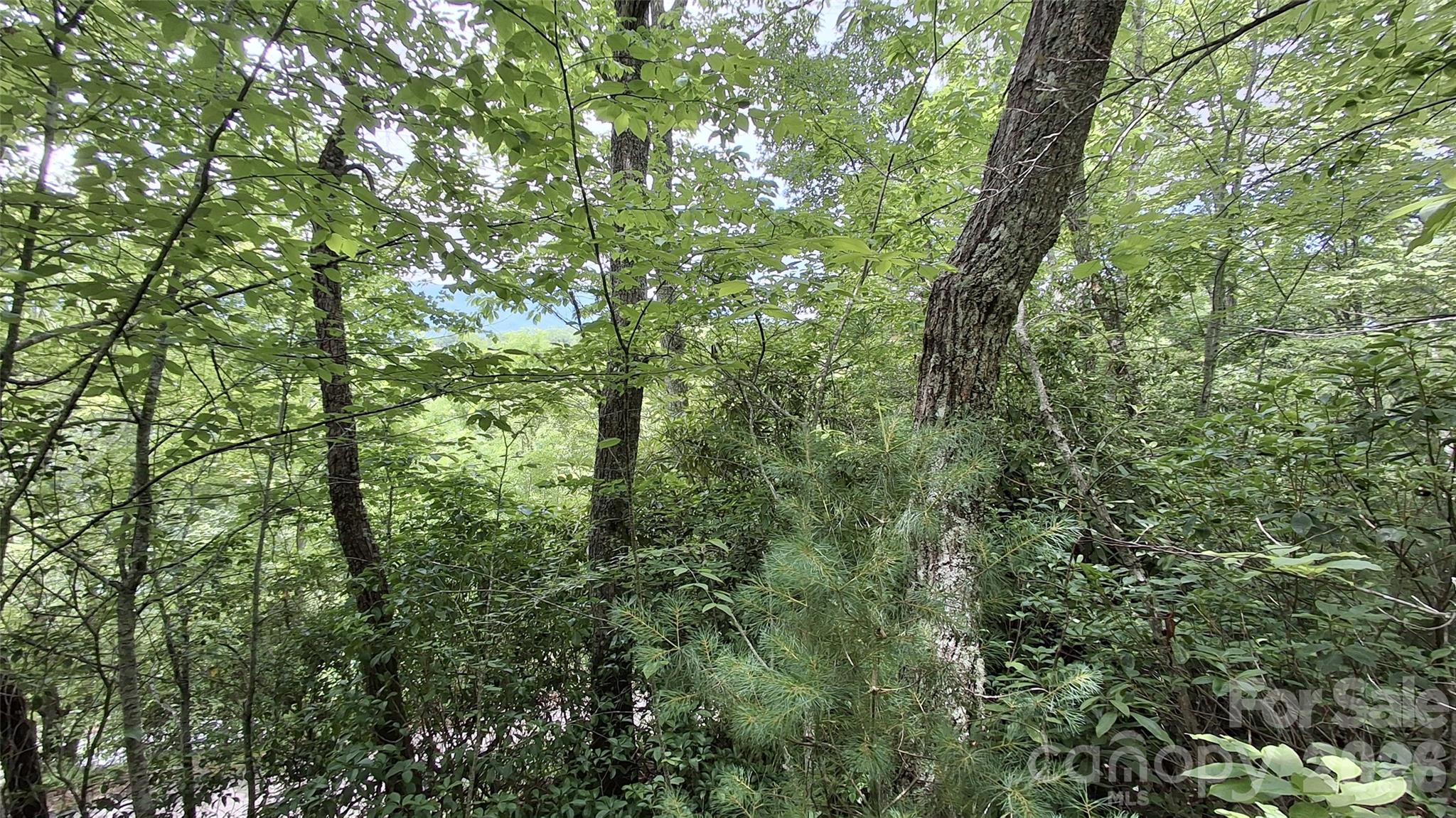 77 Kako Ridge 57 Property Photo 15