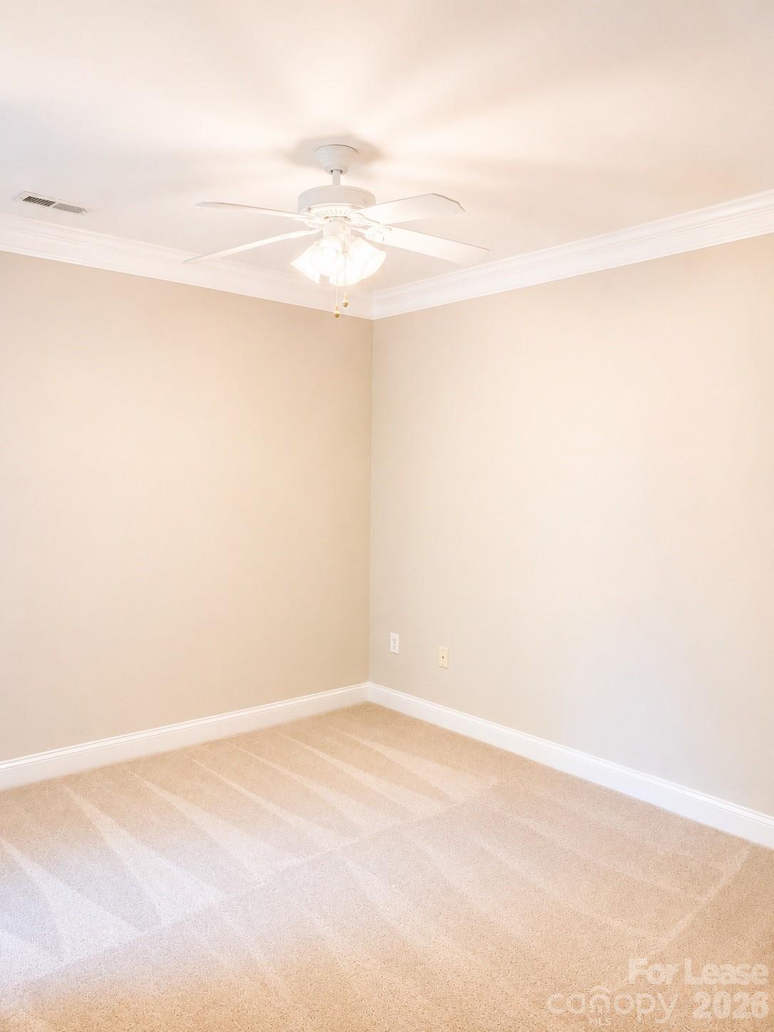 785 Magnolia Avenue Property Photo 11