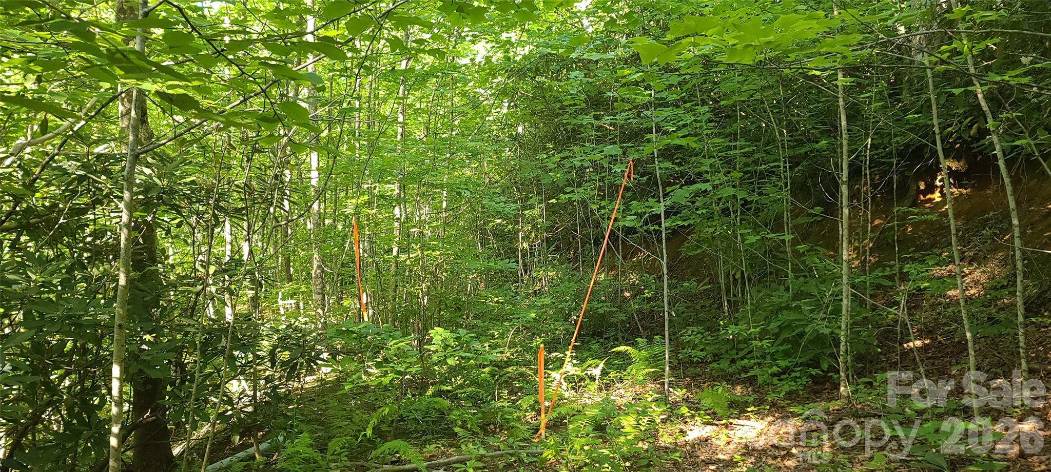 Lot# 19 Mill Creek Road Property Photo 3