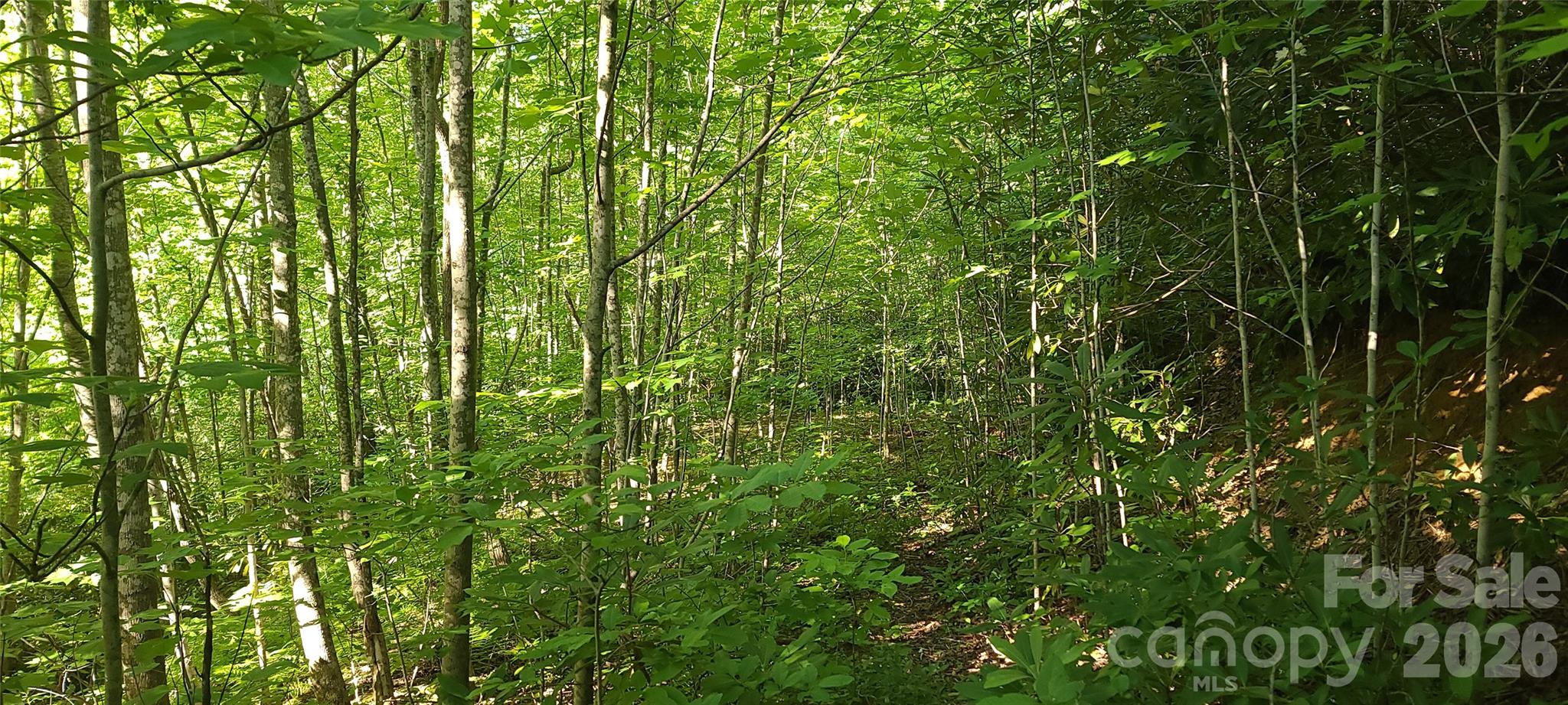 Lot# 19 Mill Creek Road Property Photo 4