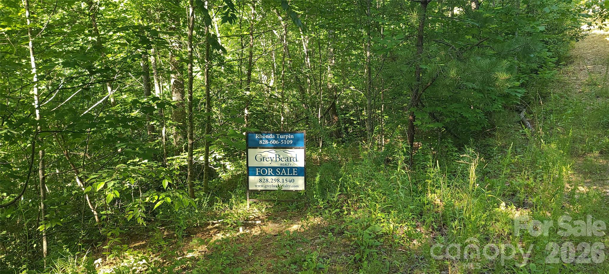 Lot# 19 Mill Creek Road Property Photo 8
