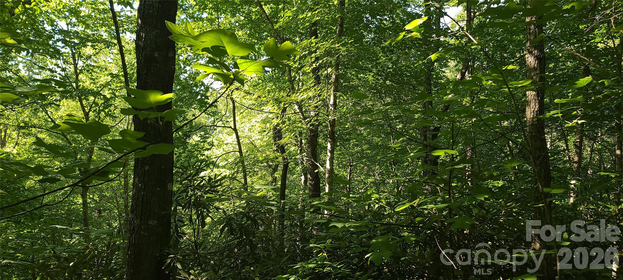 Lot# 19 Mill Creek Road Property Photo 13