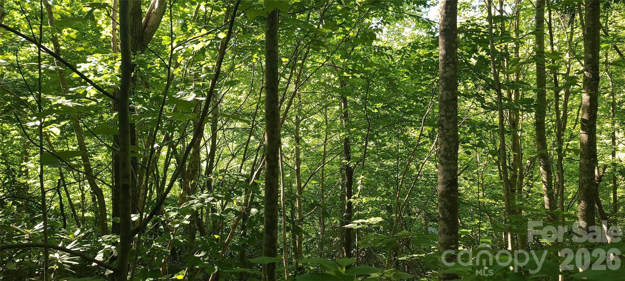 Lot# 19 Mill Creek Road Property Photo 14